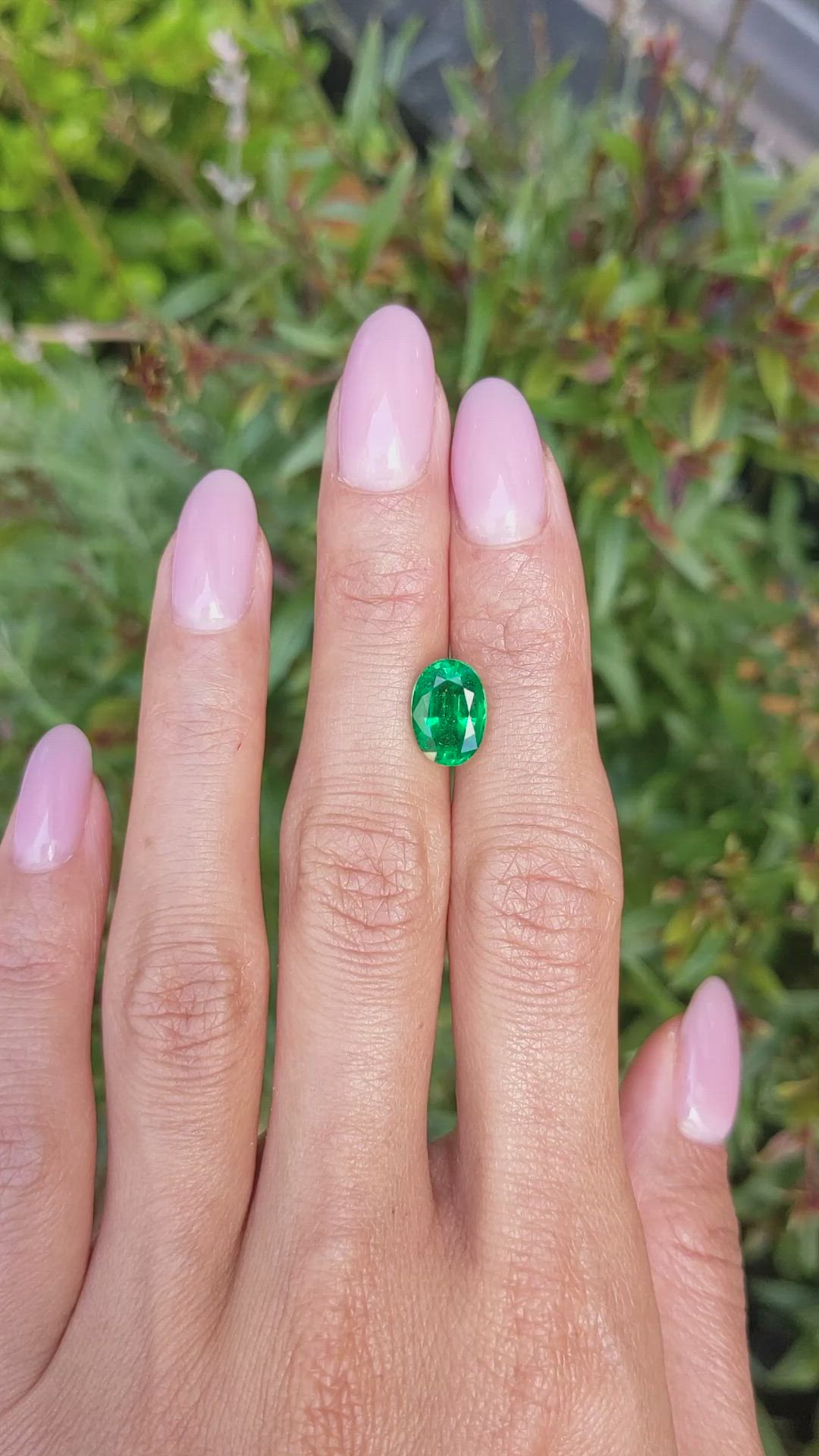 2.68 Ct. Emerald from Zambia Size Video