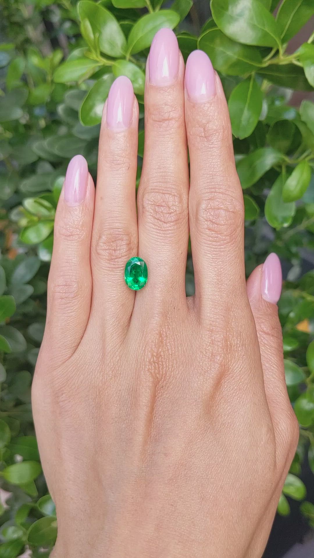 2.68 Ct. Emerald from Zambia Size Video