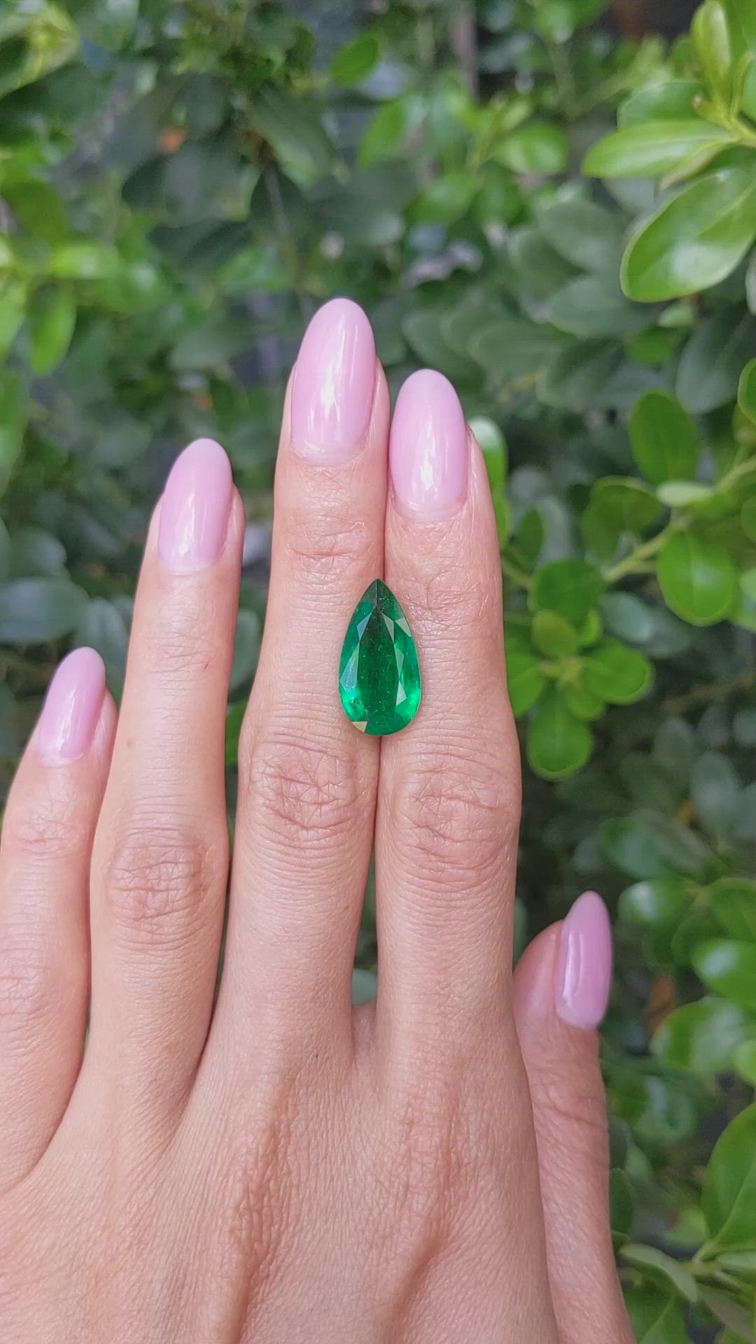 5.64 Ct. Emerald from Zambia Size Video