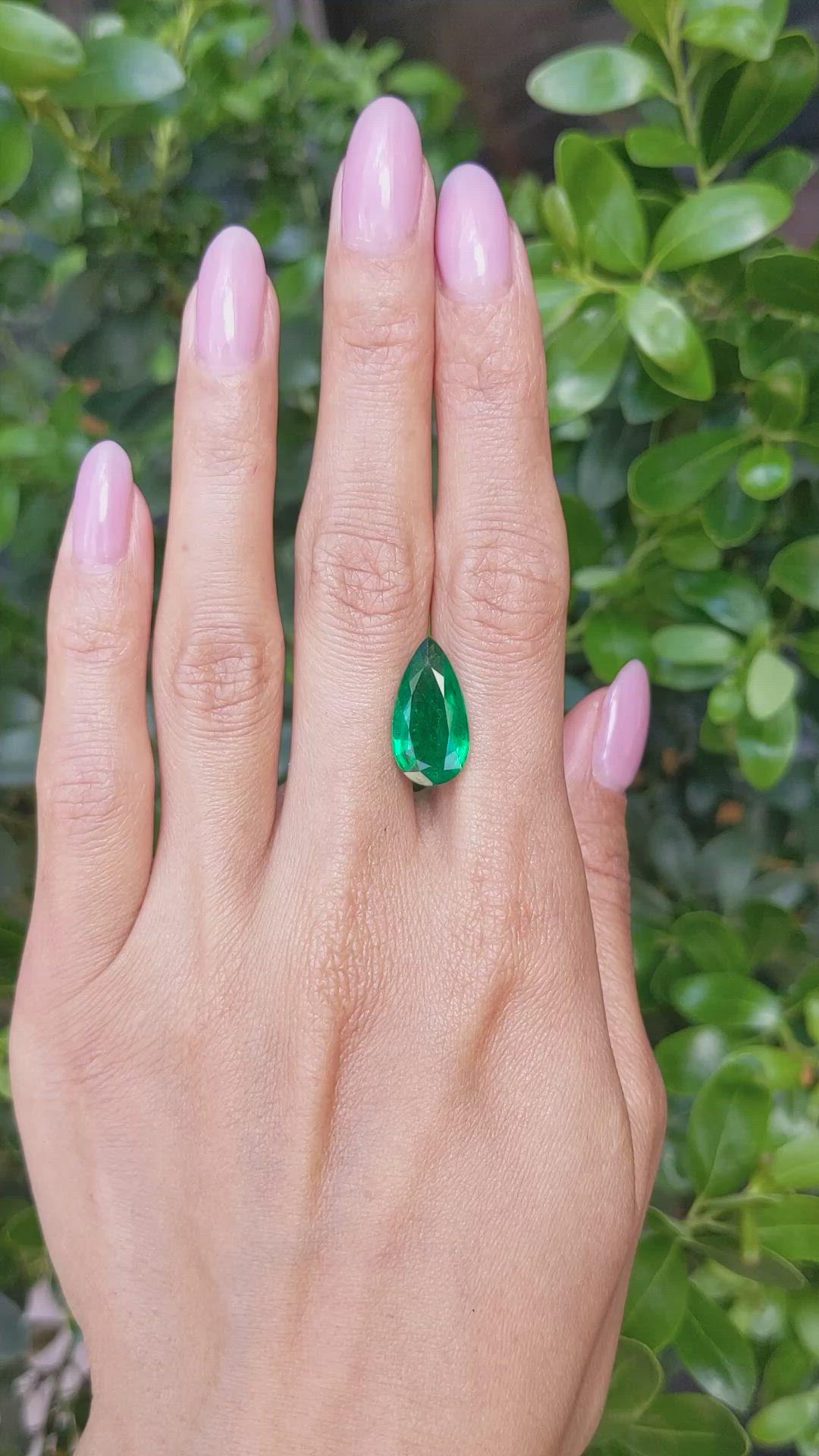 5.64 Ct. Emerald from Zambia Size Video
