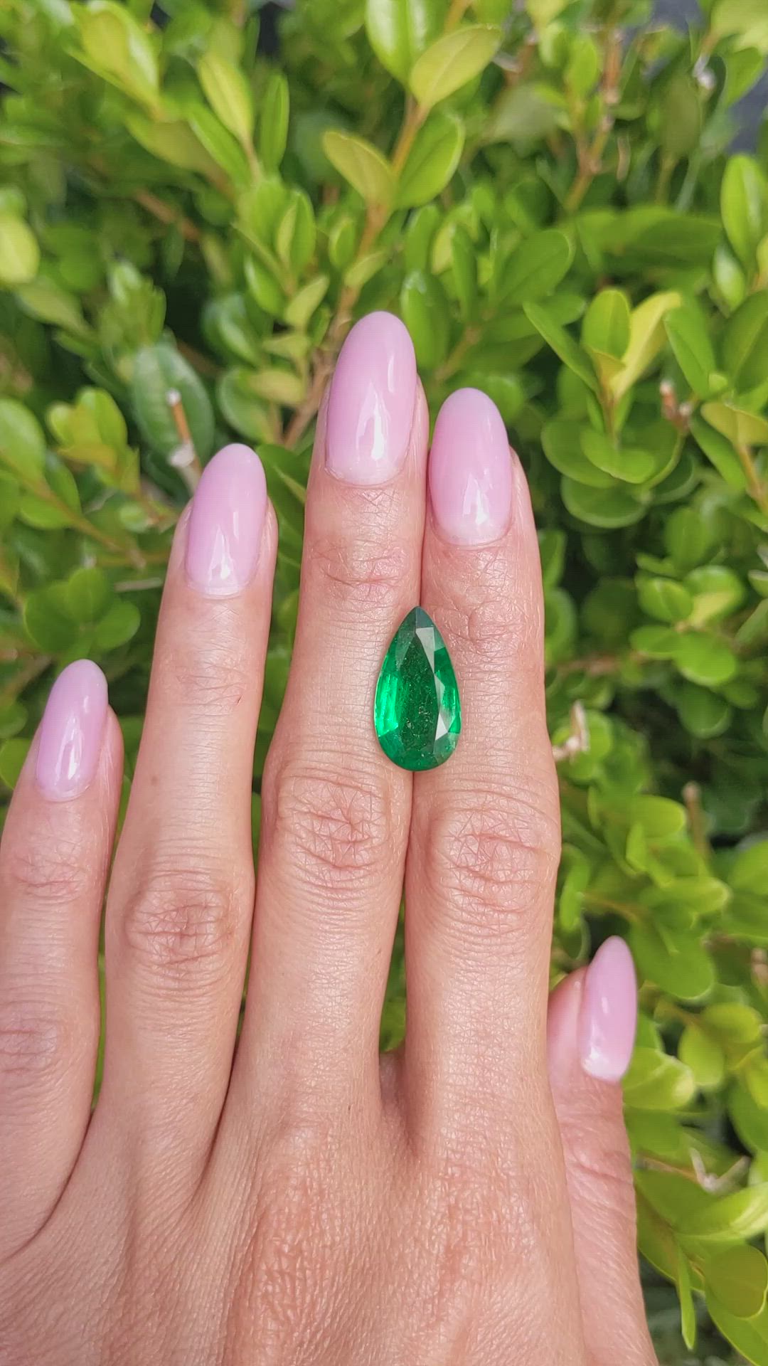 5.64 Ct. Emerald from Zambia Size Video