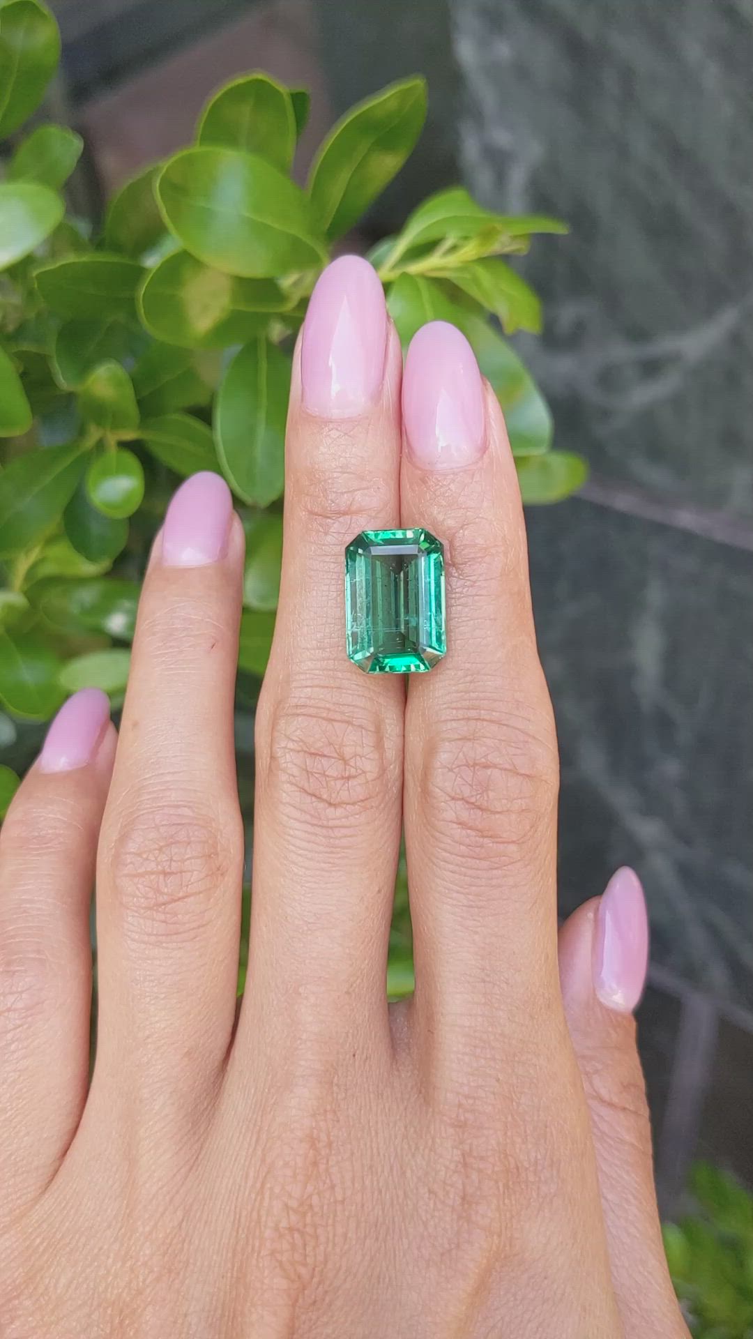 9.29 Ct. Emerald from Zambia Size Video