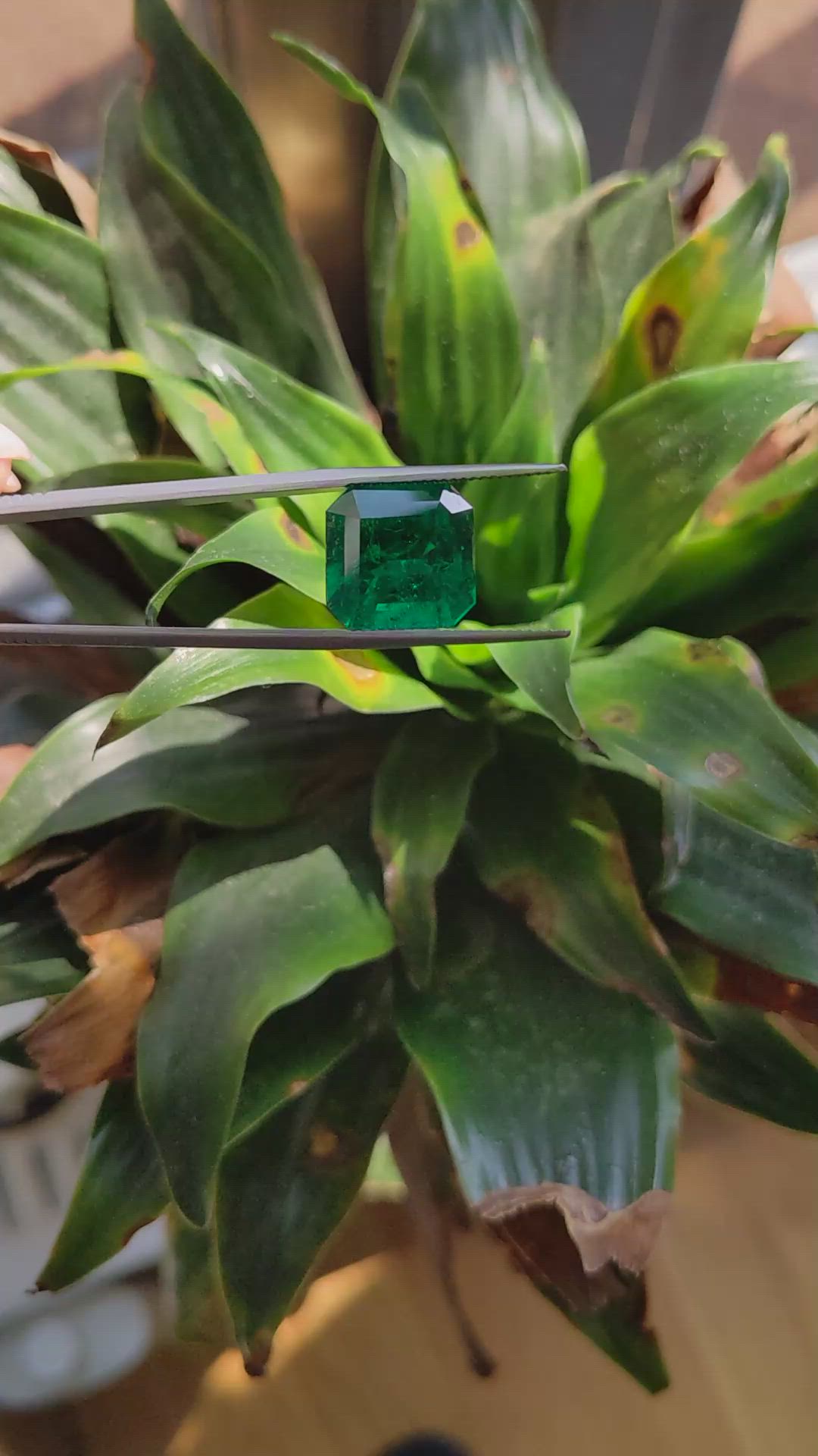 7.97 Ct. Emerald from Colombia - Muzo Size Video