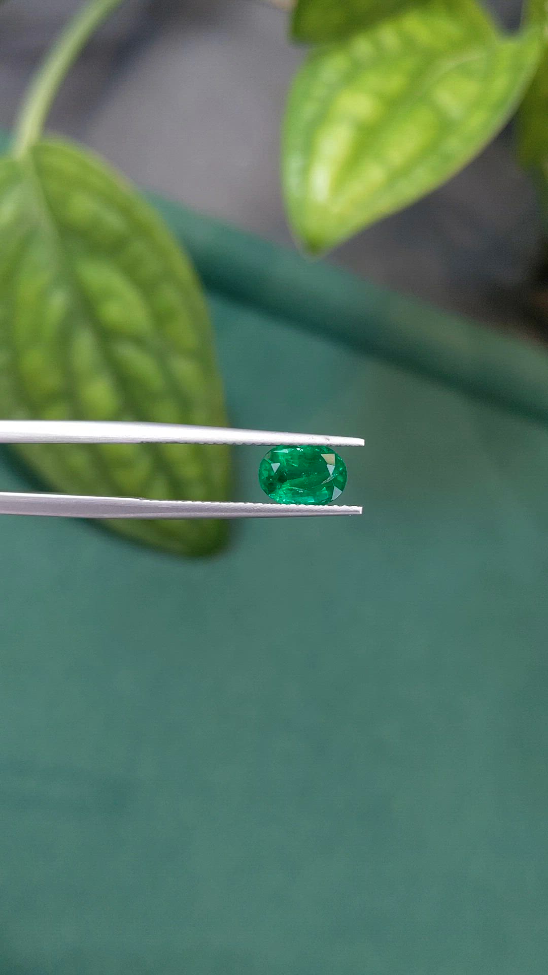 1.18 Ct. Emerald from Zambia Size Video