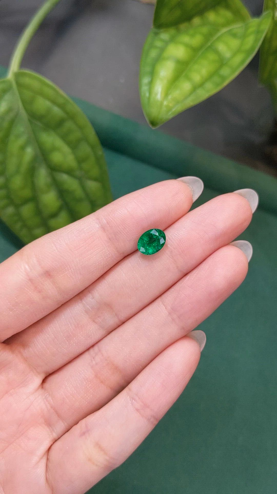 1.29 Ct. Emerald from Zambia Size Video