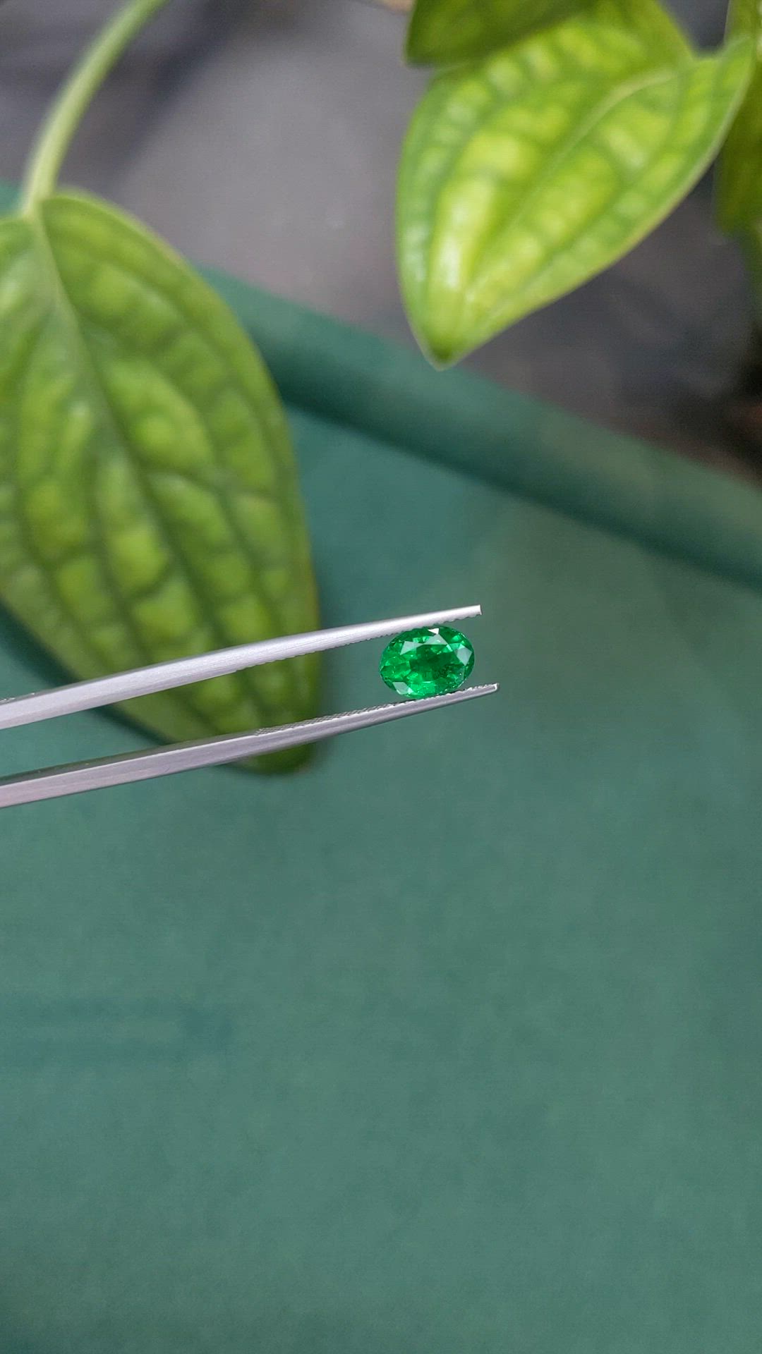 1.29 Ct. Emerald from Zambia Size Video
