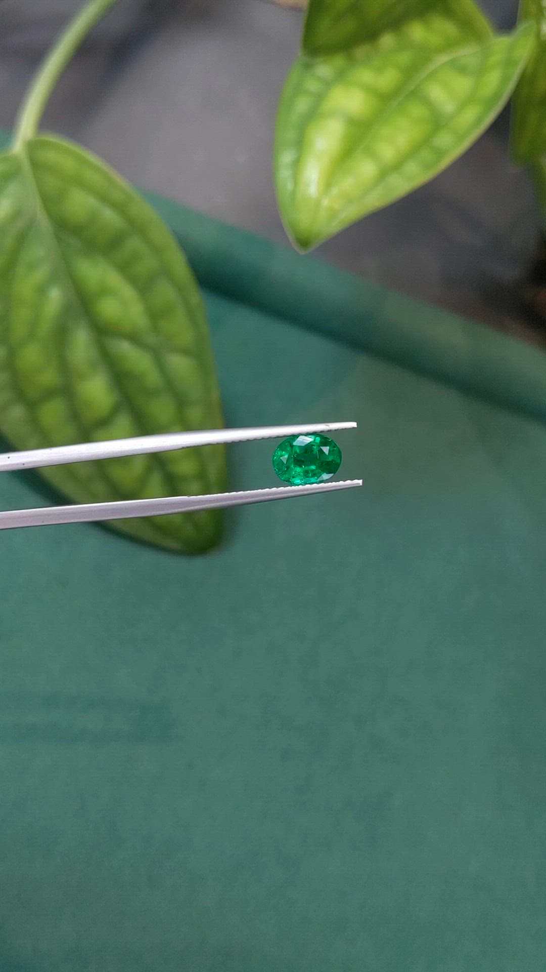 1.29 Ct. Emerald from Zambia Size Video