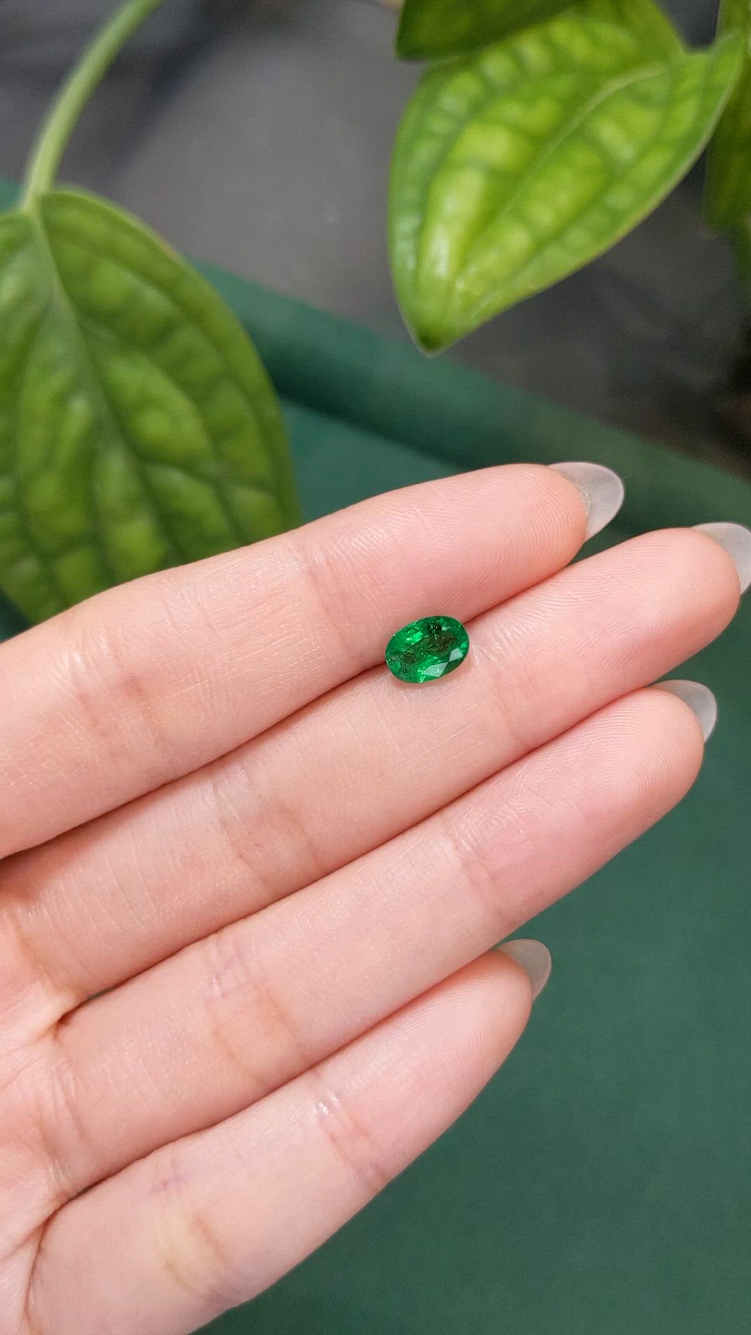 1.07 Ct. Emerald from Zambia Size Video