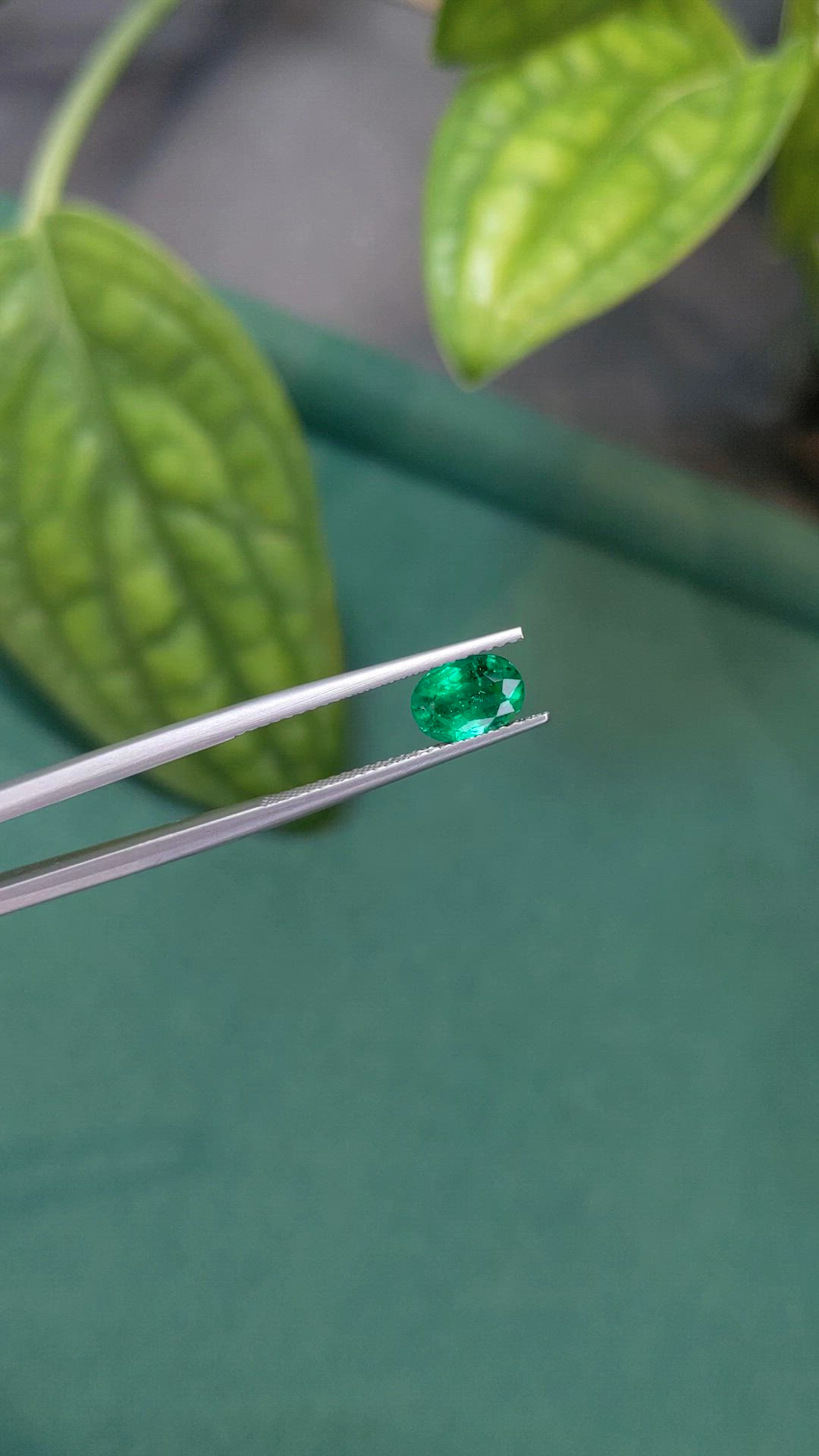1.07 Ct. Emerald from Zambia Size Video