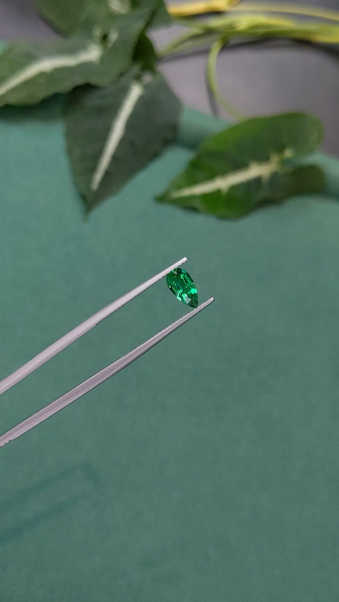 0.66 Ct. Emerald from Zambia Size Video