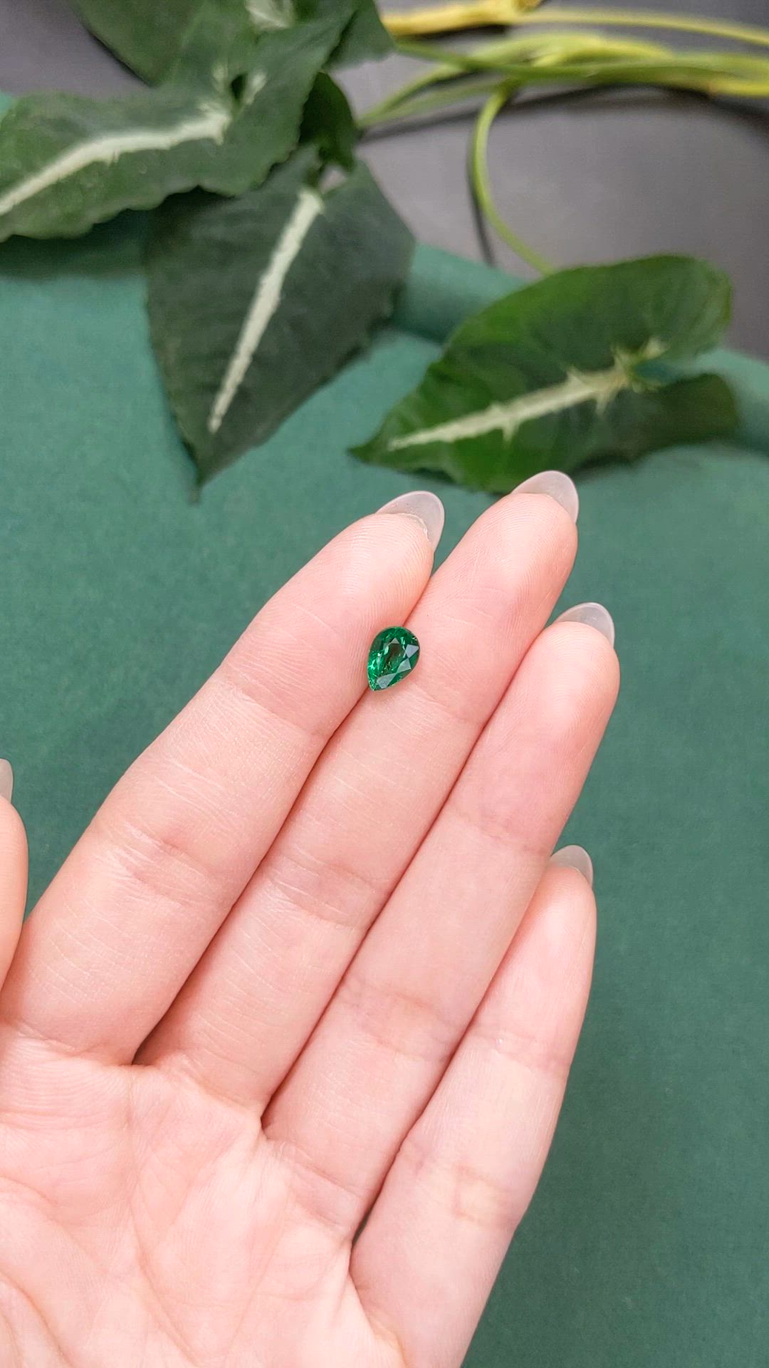 0.81 Ct. Emerald from Zambia Size Video