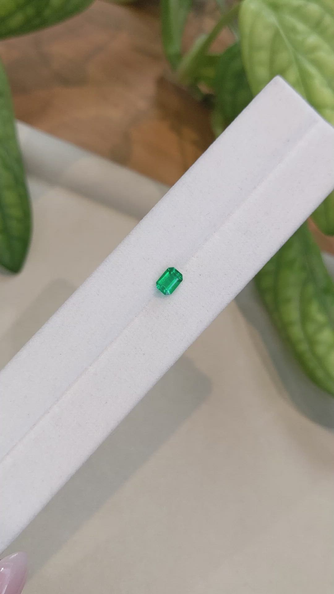 0.46 Ct. Emerald from Afghanistan Size Video