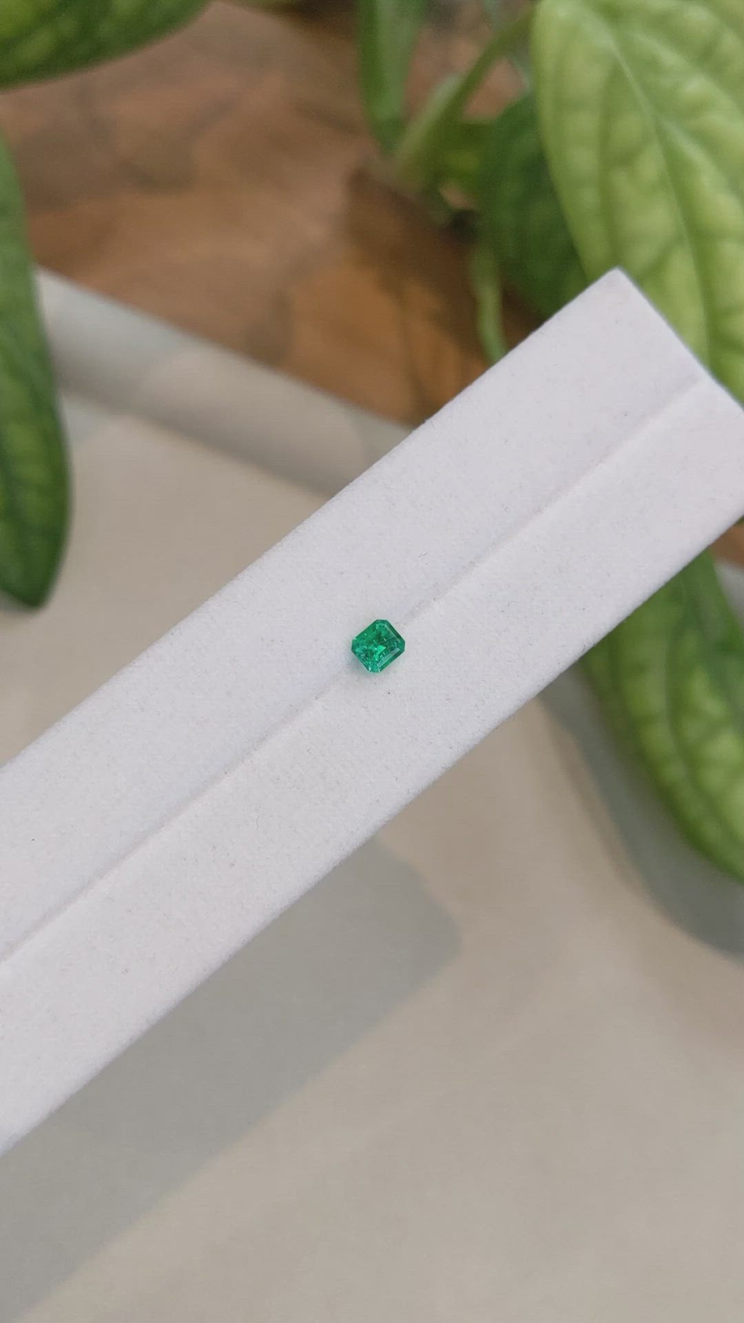 0.29 Ct. Emerald from Afghanistan Size Video