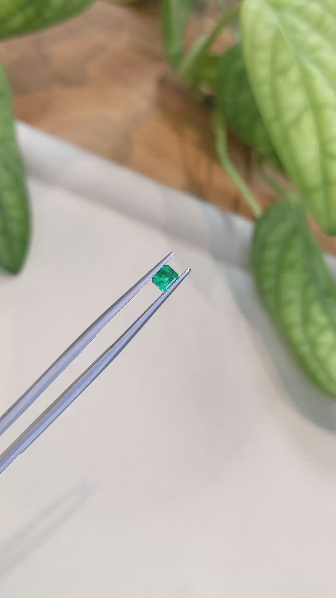 0.29 Ct. Emerald from Afghanistan Size Video