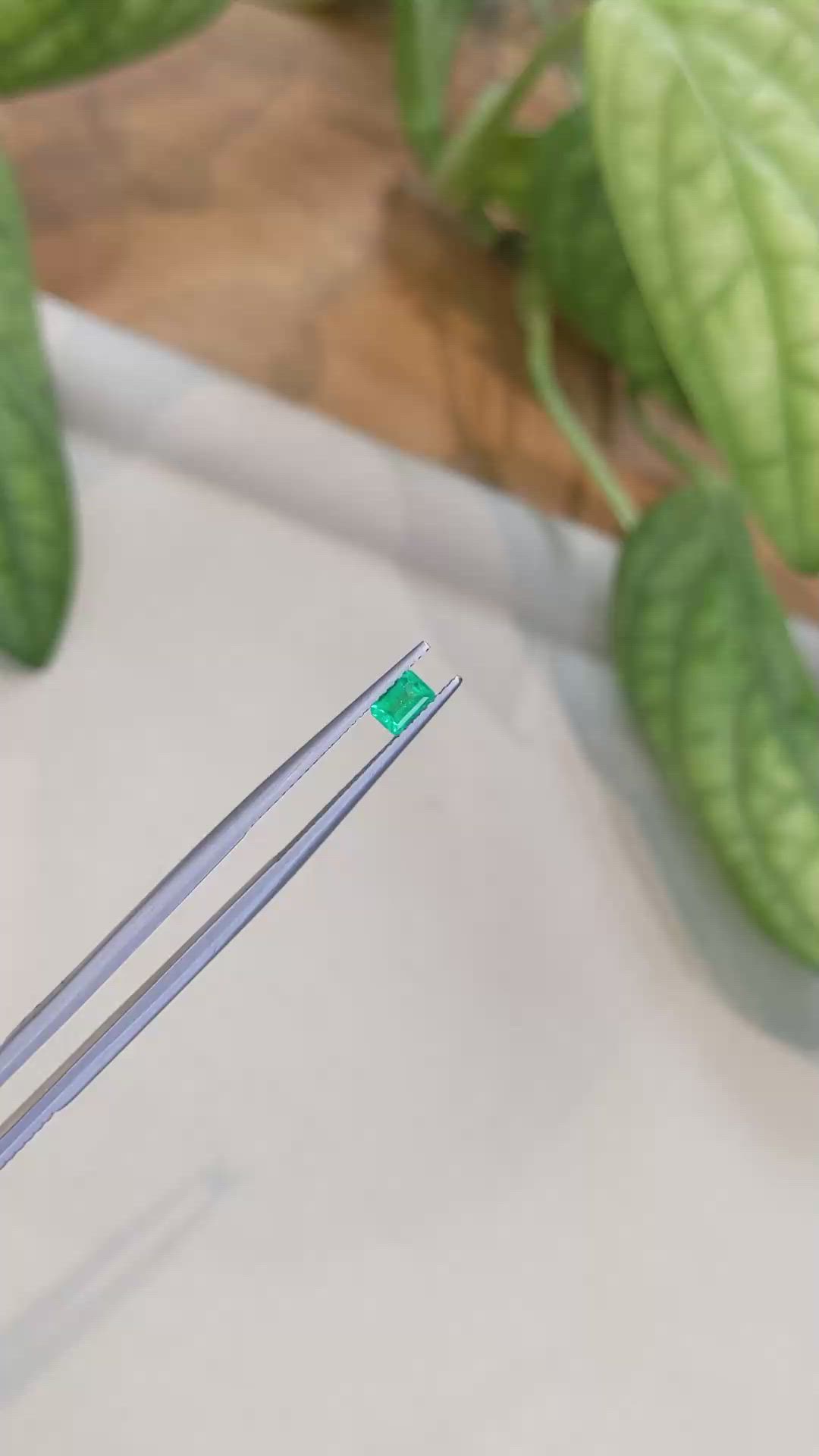 0.28 Ct. Emerald from Afghanistan Size Video