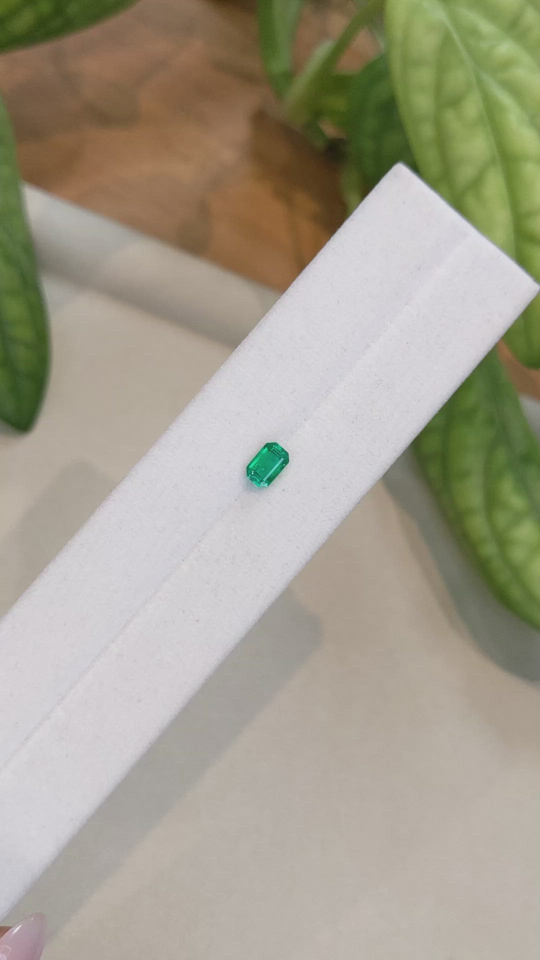 0.46 Ct. Emerald from Afghanistan Size Video