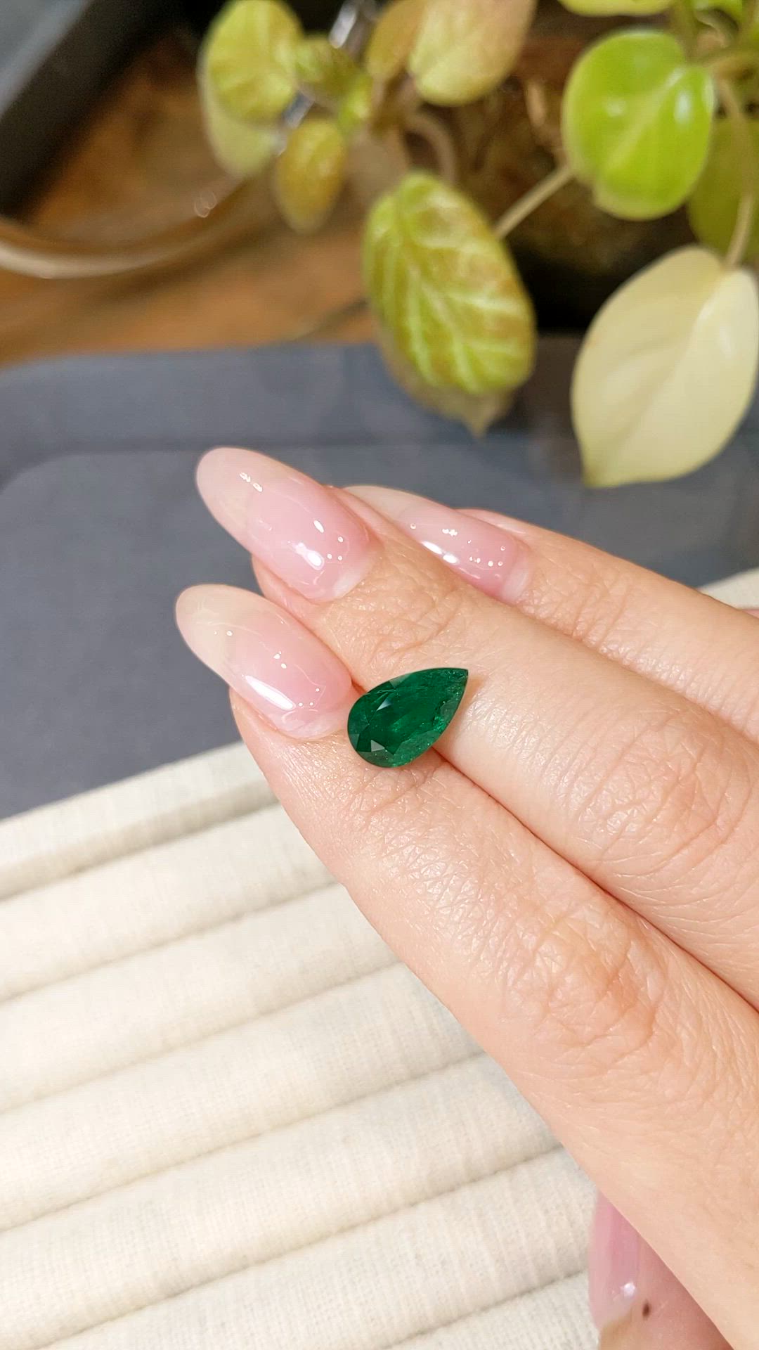 2.56 Ct. Emerald from Zambia Size Video