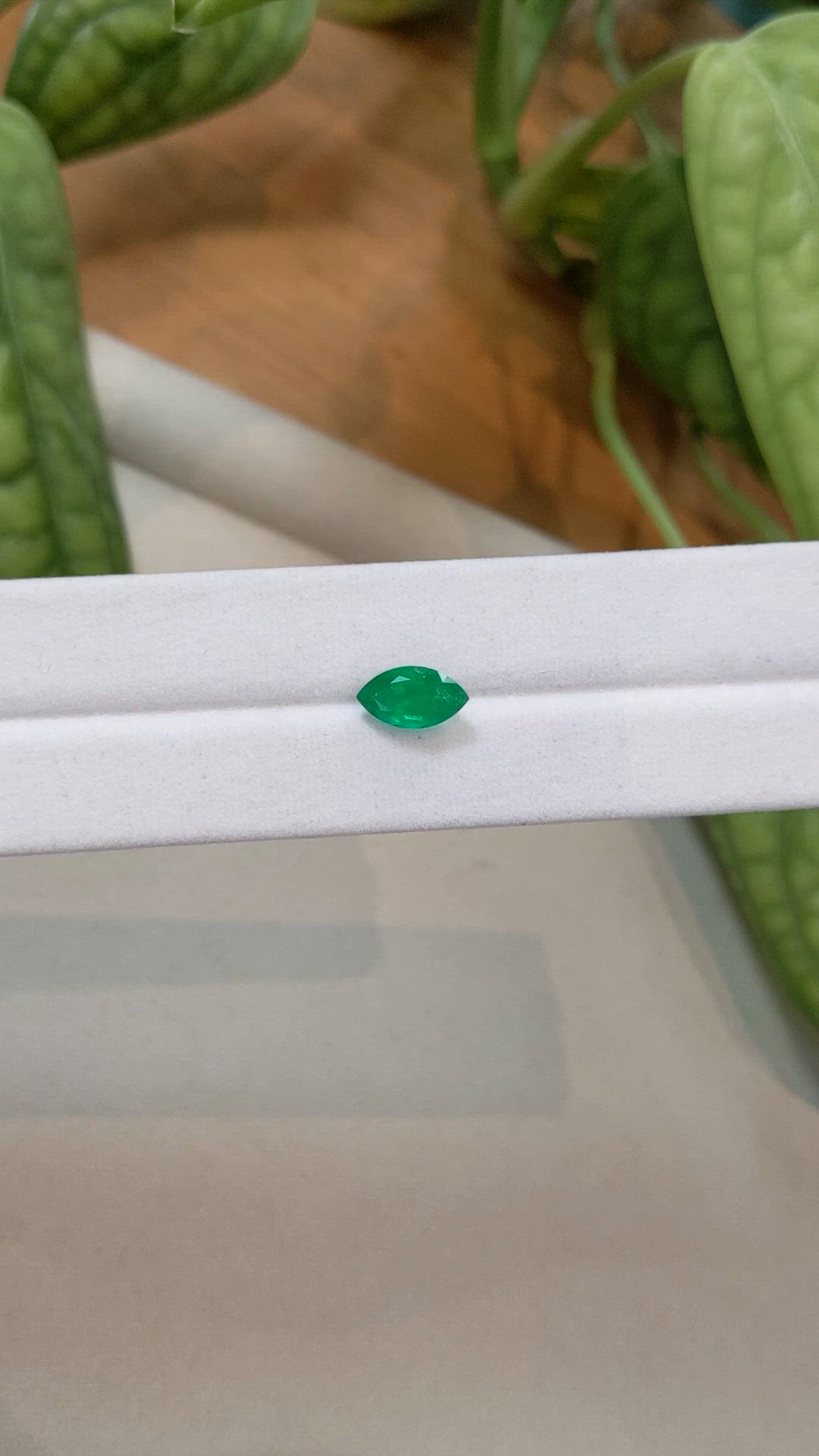 1.40 Ct. Emerald from Zambia Size Video