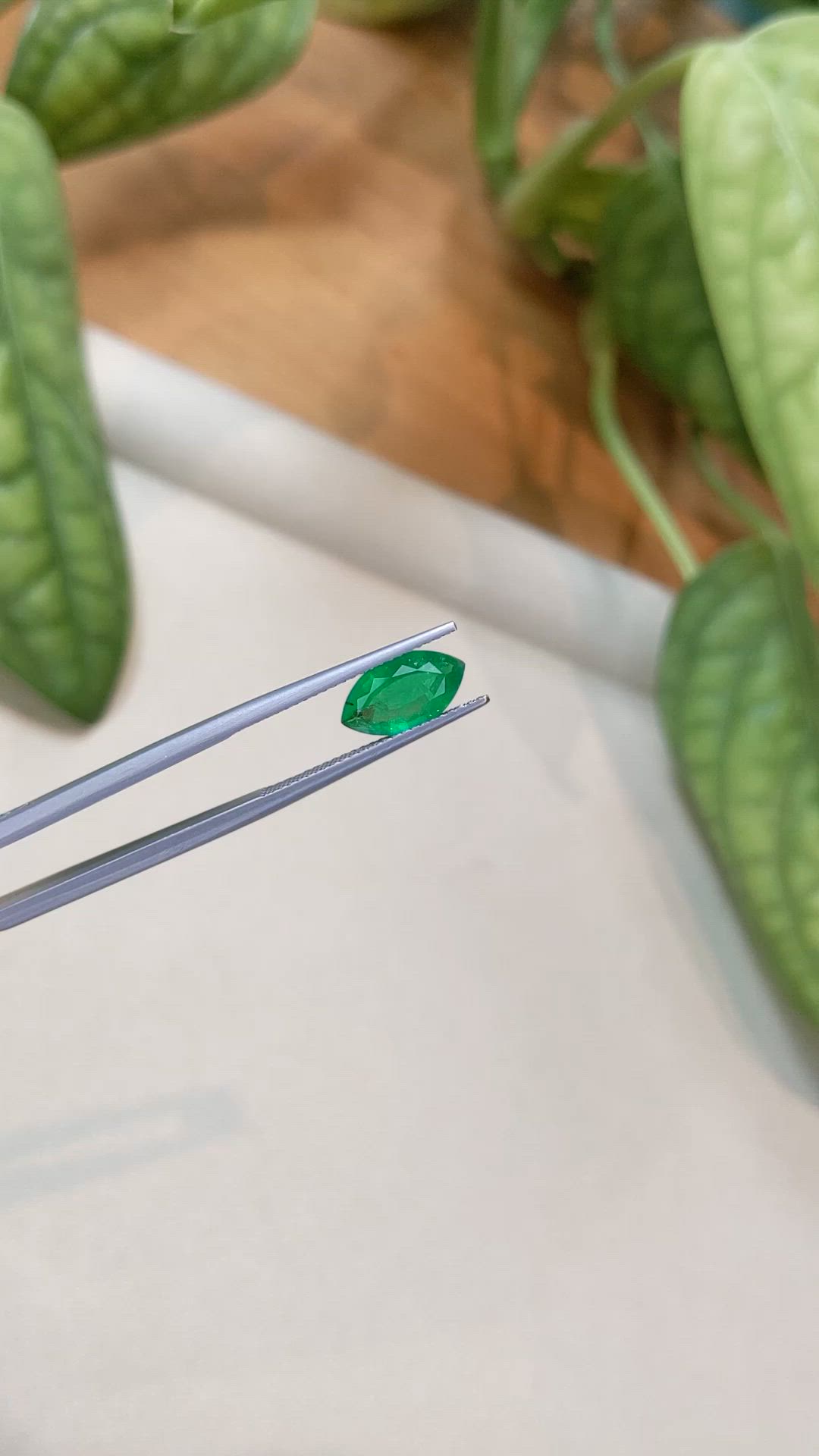 1.29 Ct. Emerald from Zambia Size Video