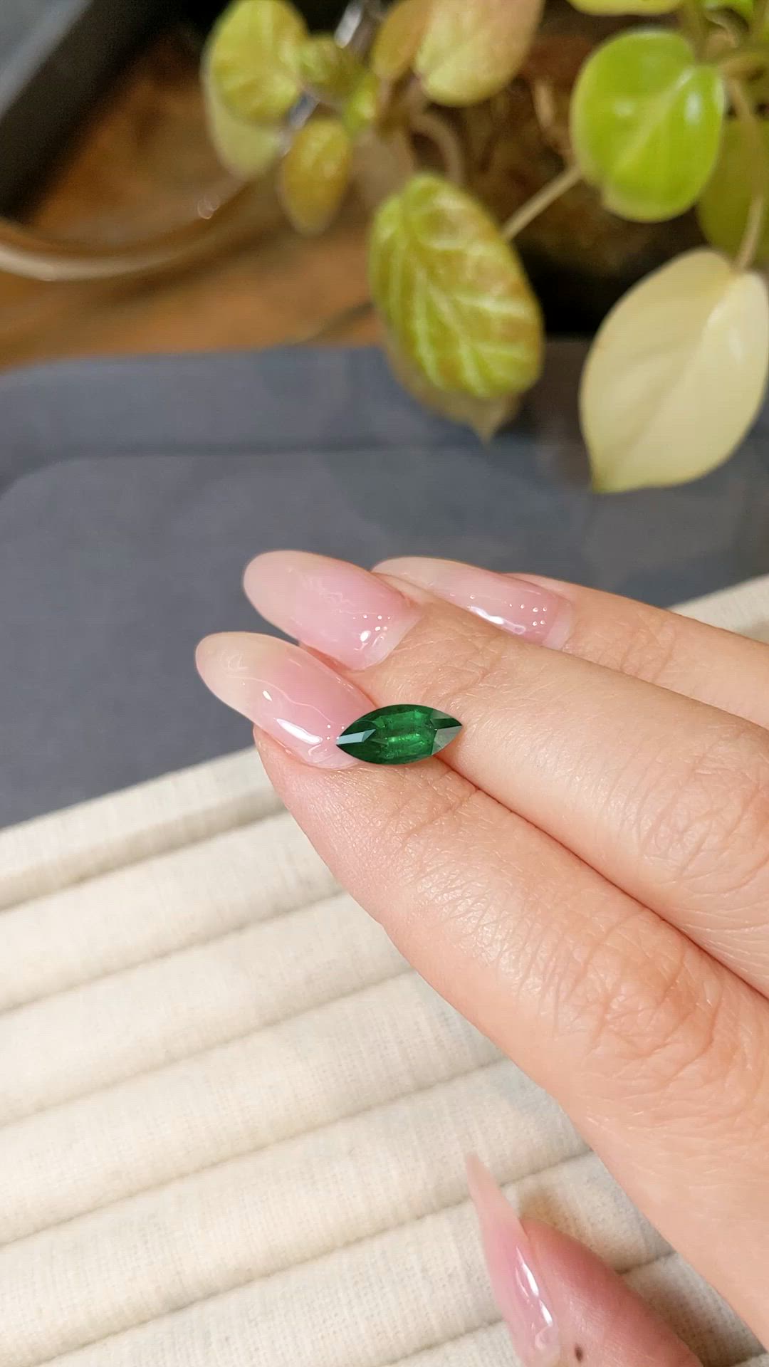 1.19 Ct. Emerald from Zambia Size Video