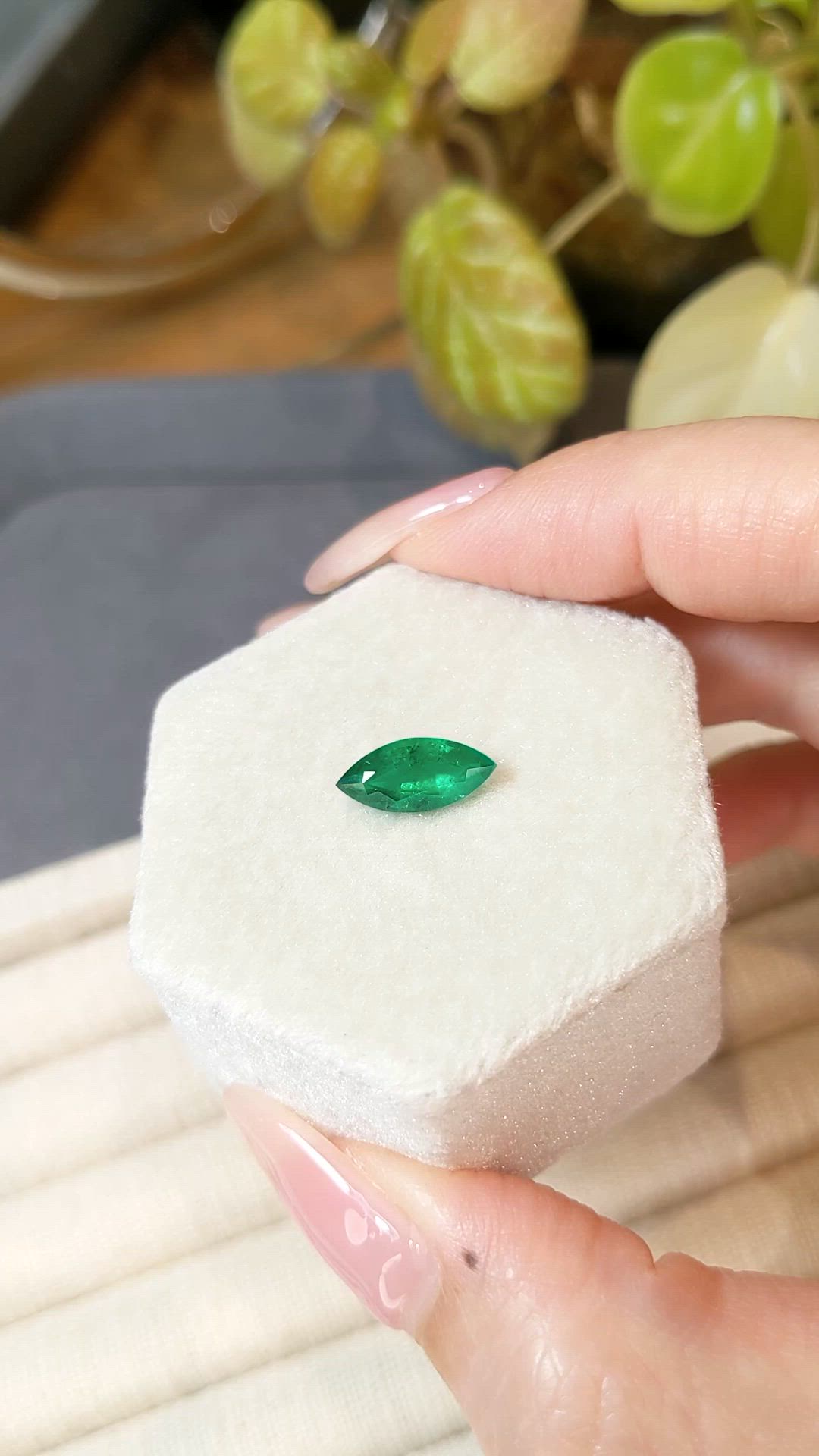 1.43 Ct. Emerald from Zambia Size Video