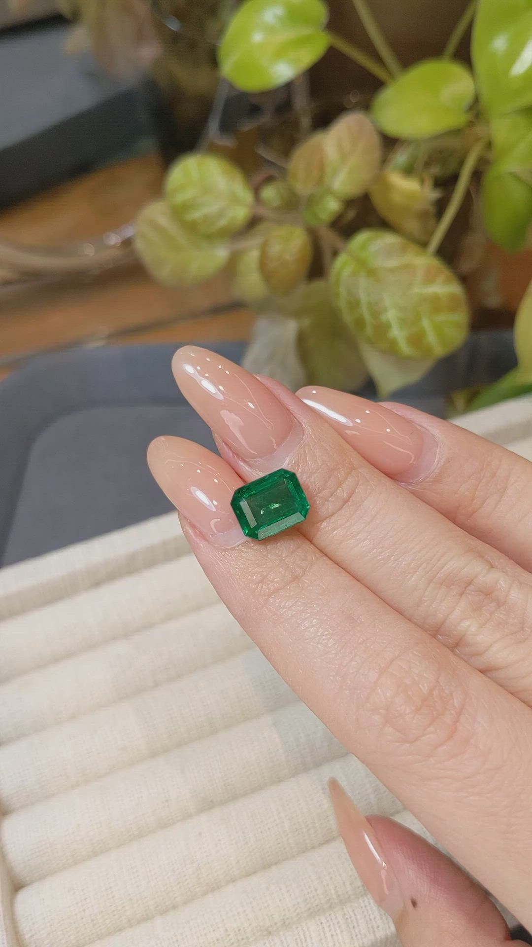 3.22 Ct. Emerald from Zambia Size Video