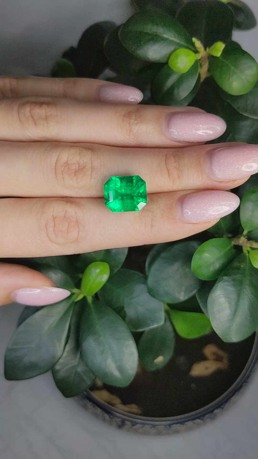 8.29 Ct. Emerald from Colombia Size Video