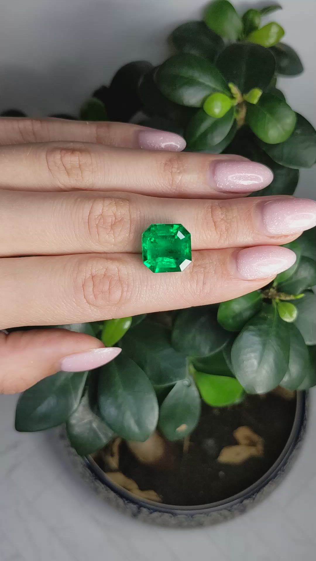 9.97 Ct. Emerald from Colombia Size Video