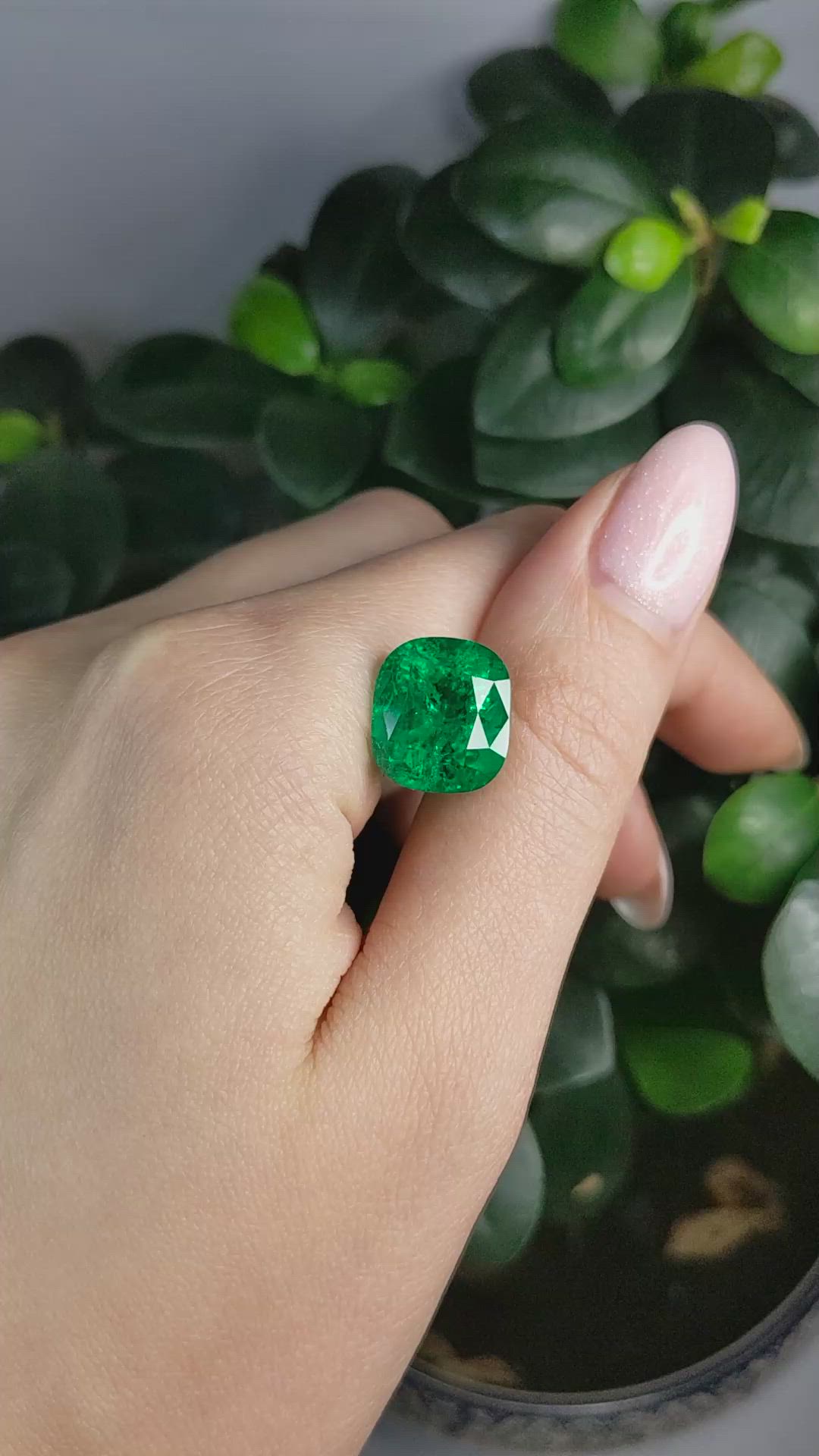 11.82 Ct. Emerald from Colombia Size Video