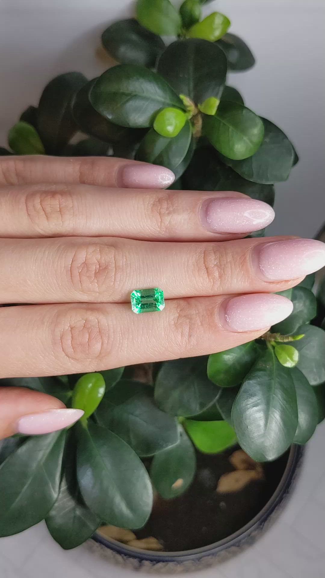 1.57 Ct. Emerald from Colombia Size Video