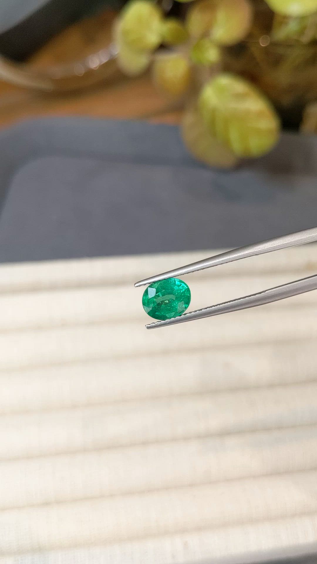 1.54 Ct. Emerald from Zambia Size Video