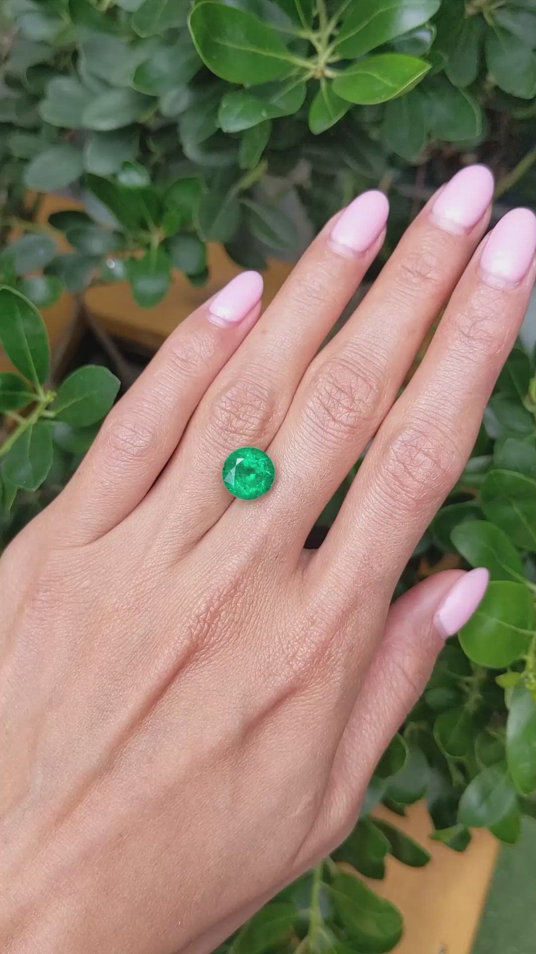 4.43 Ct. Emerald from Zambia Size Video