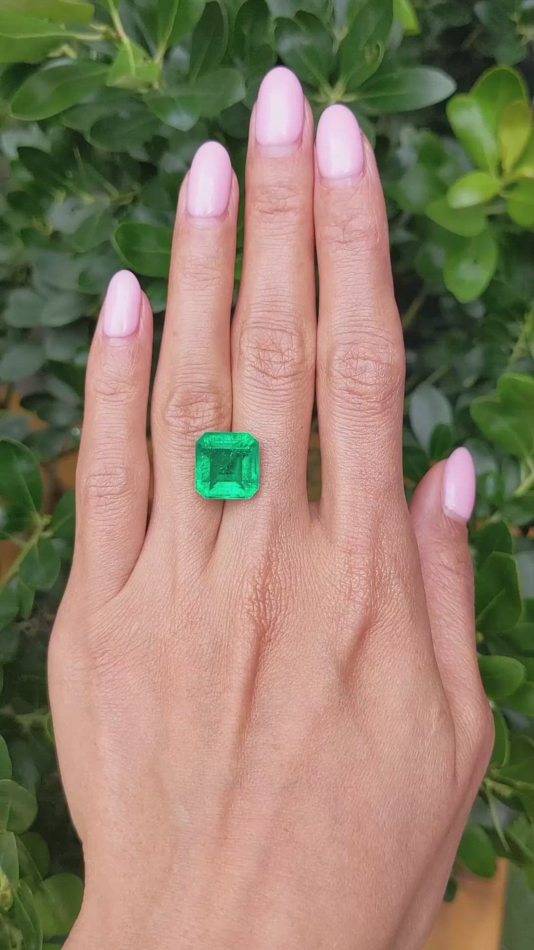 8.74 Ct. Emerald from Zambia Size Video