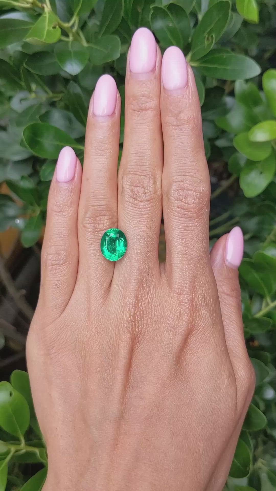 4.47 Ct. Emerald from Zambia Size Video