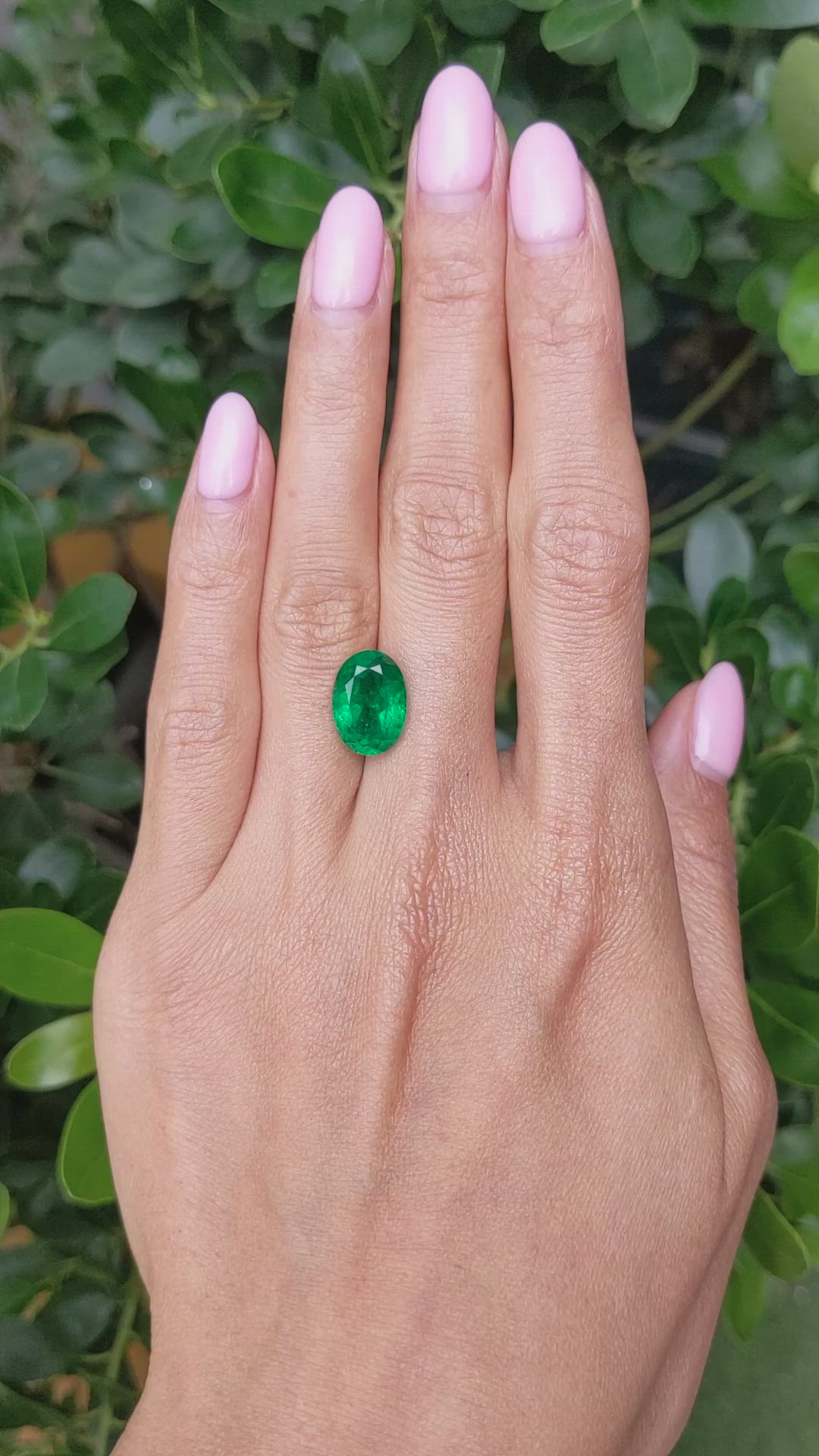 4.59 Ct. Emerald from Zambia Size Video