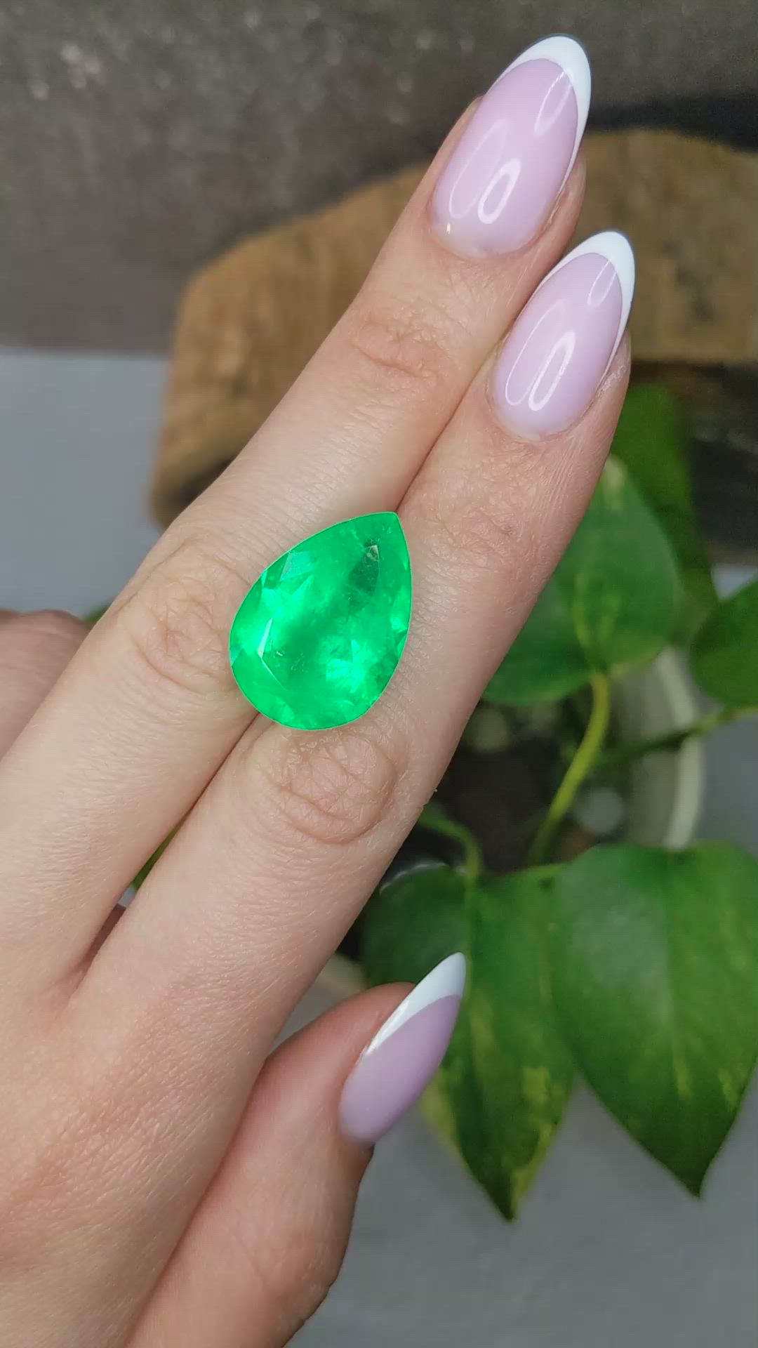 16.90 Ct. Emerald from Colombia Size Video