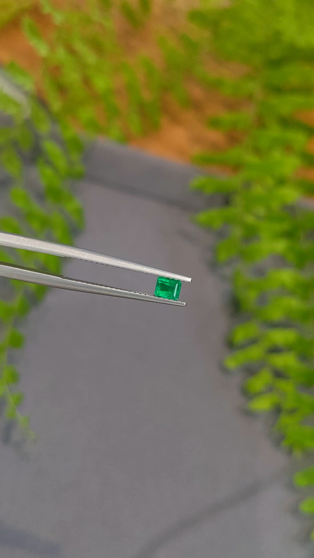 0.24 Ct. Emerald from Afghanistan Size Video