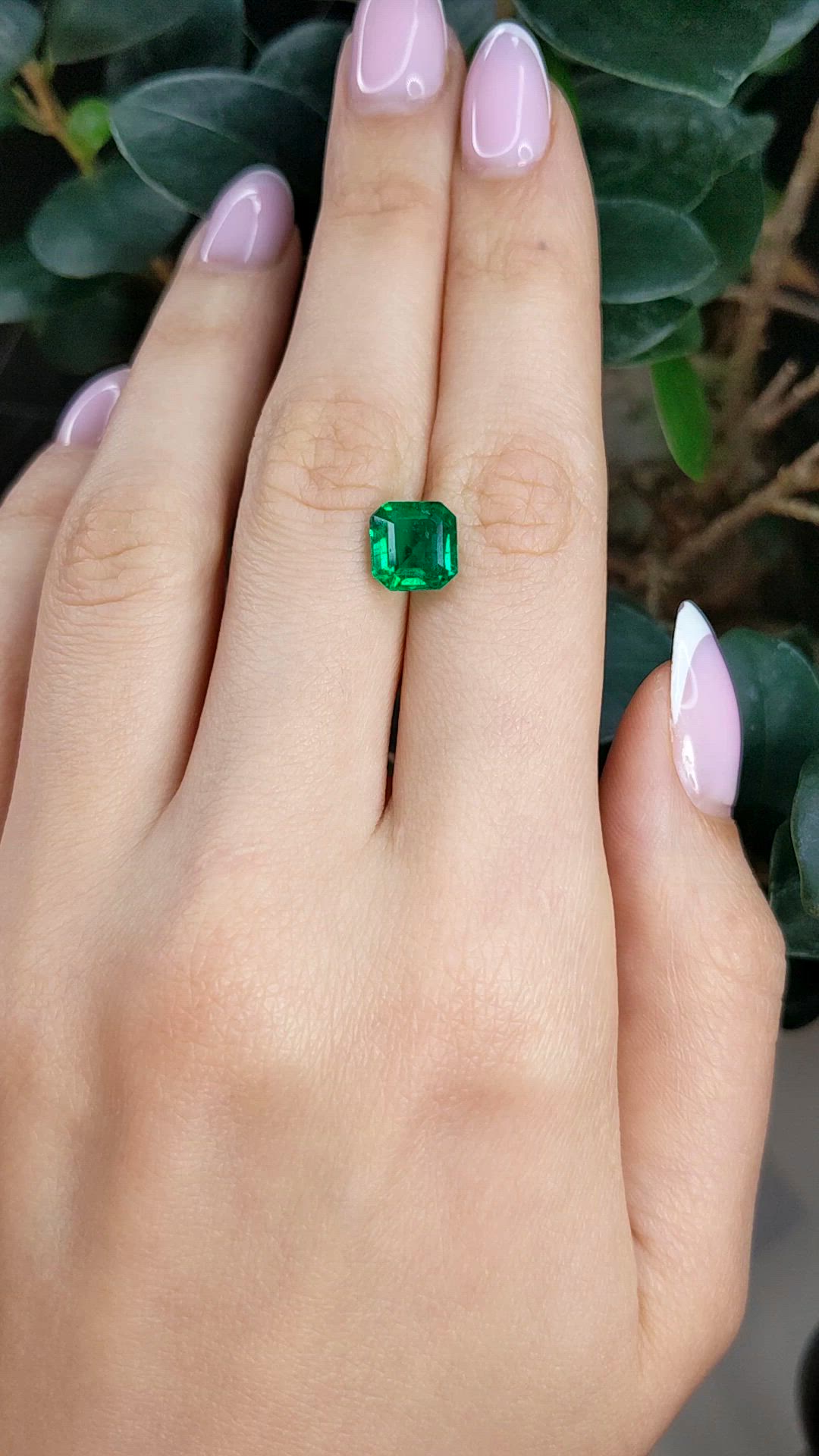 2.70 Ct. Emerald from Zambia Size Video