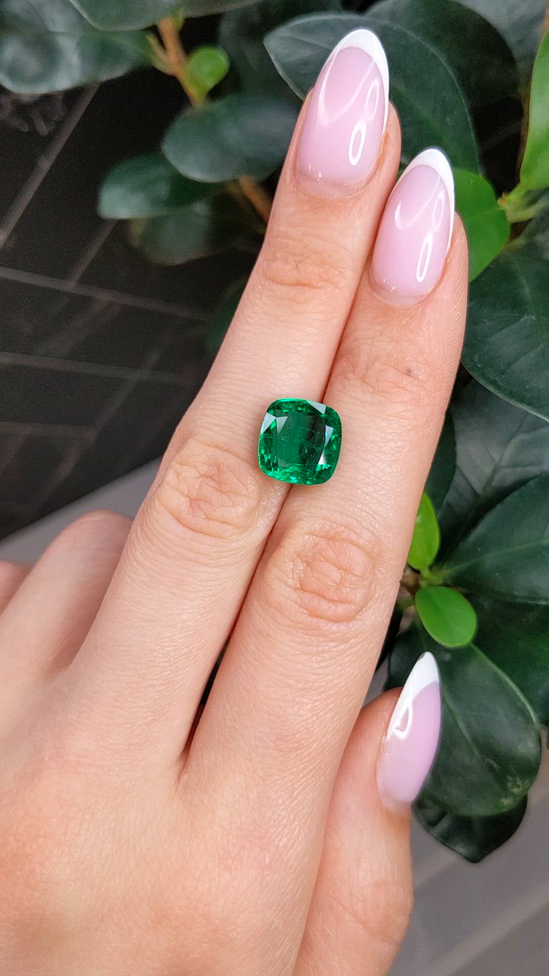 5.11 Ct. Emerald from Zambia Size Video