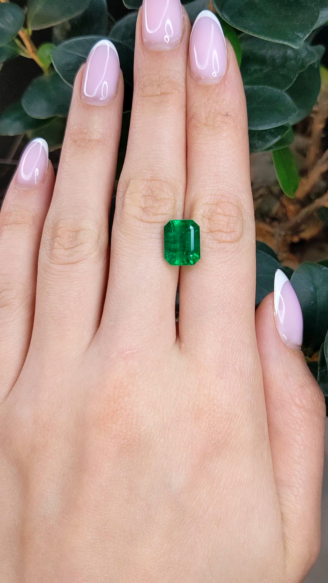 4.86 Ct. Emerald from Zambia Size Video