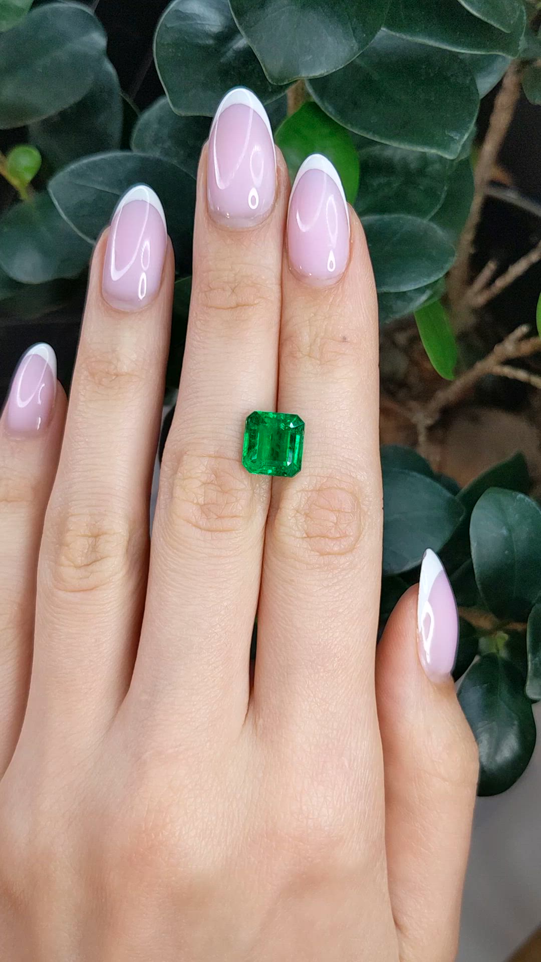 3.75 Ct. Emerald from Zambia Size Video