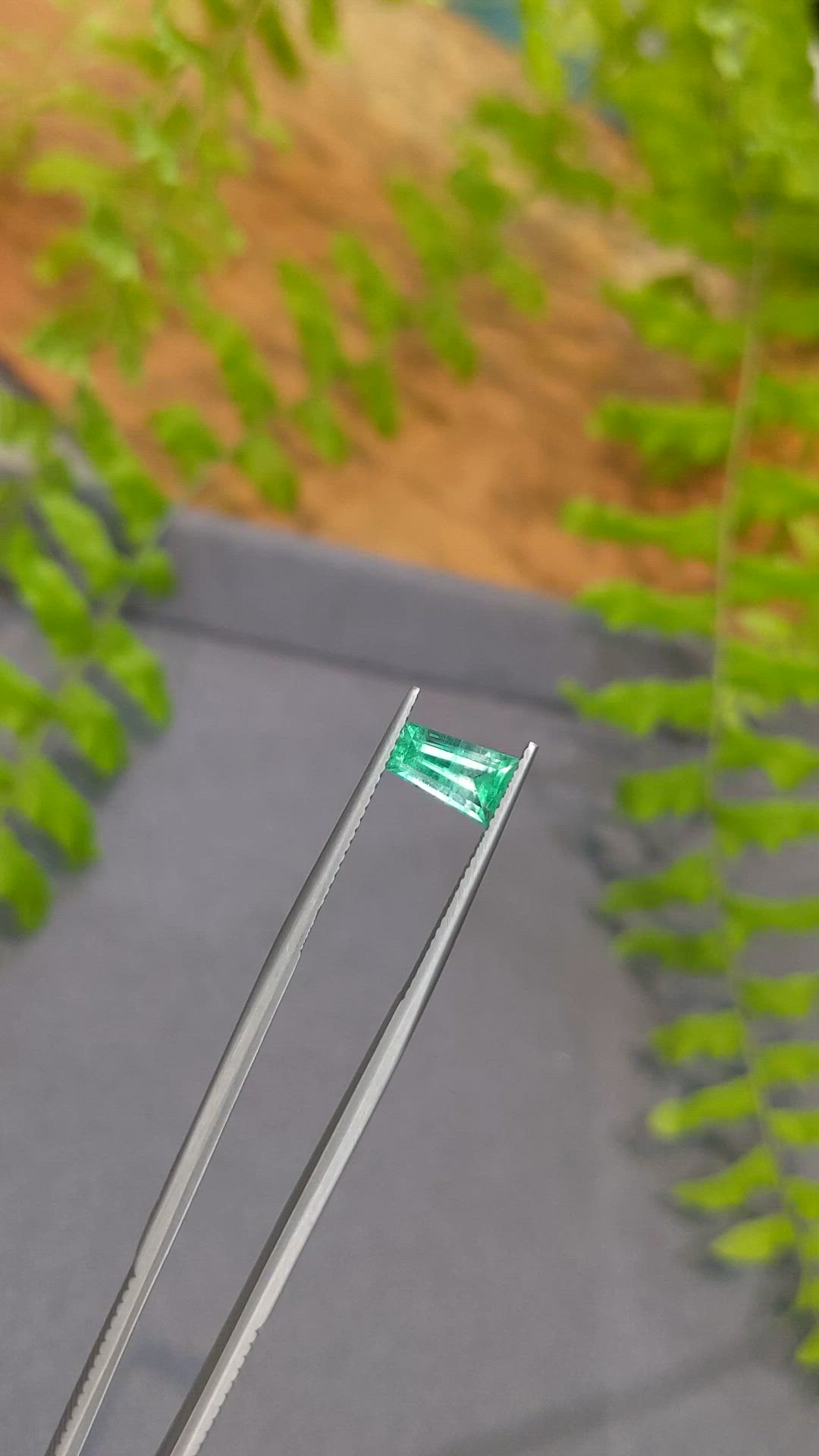 1.15 Ct. Emerald from Russia Size Video