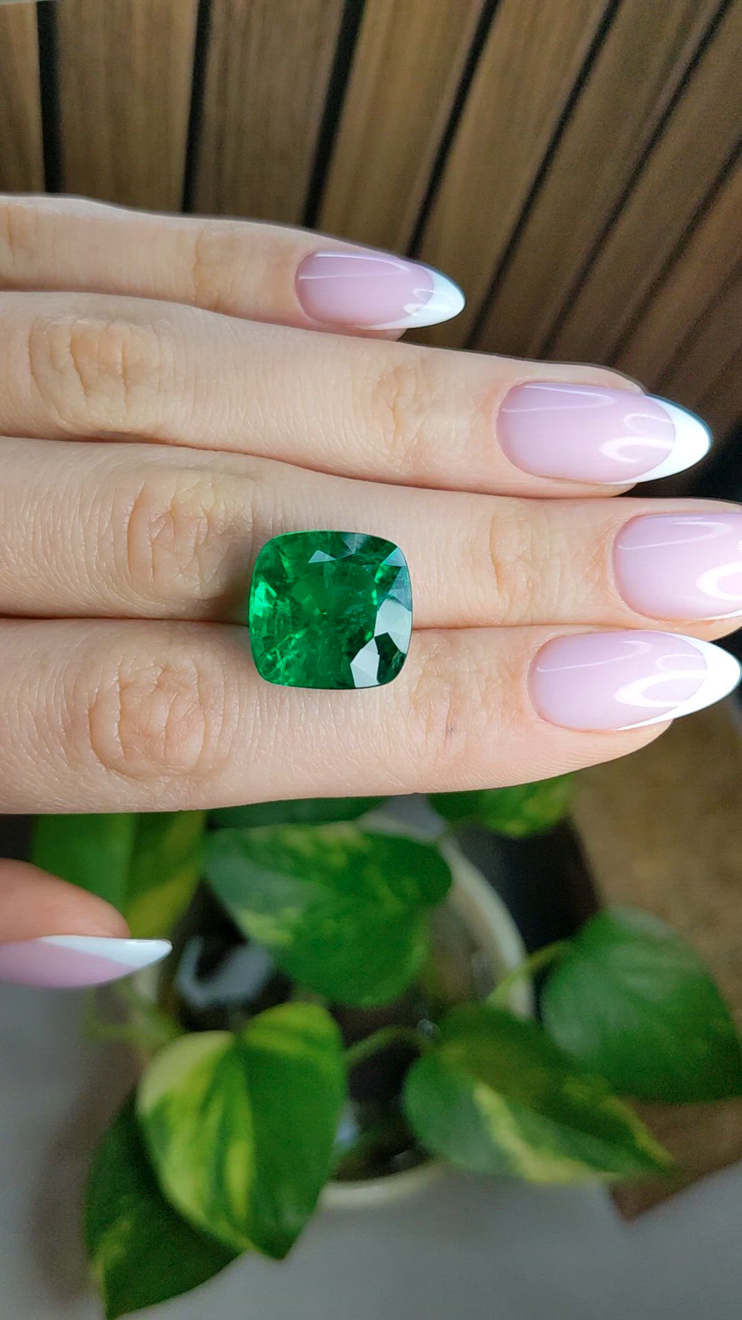 15.09 Ct. Emerald from Zambia Size Video