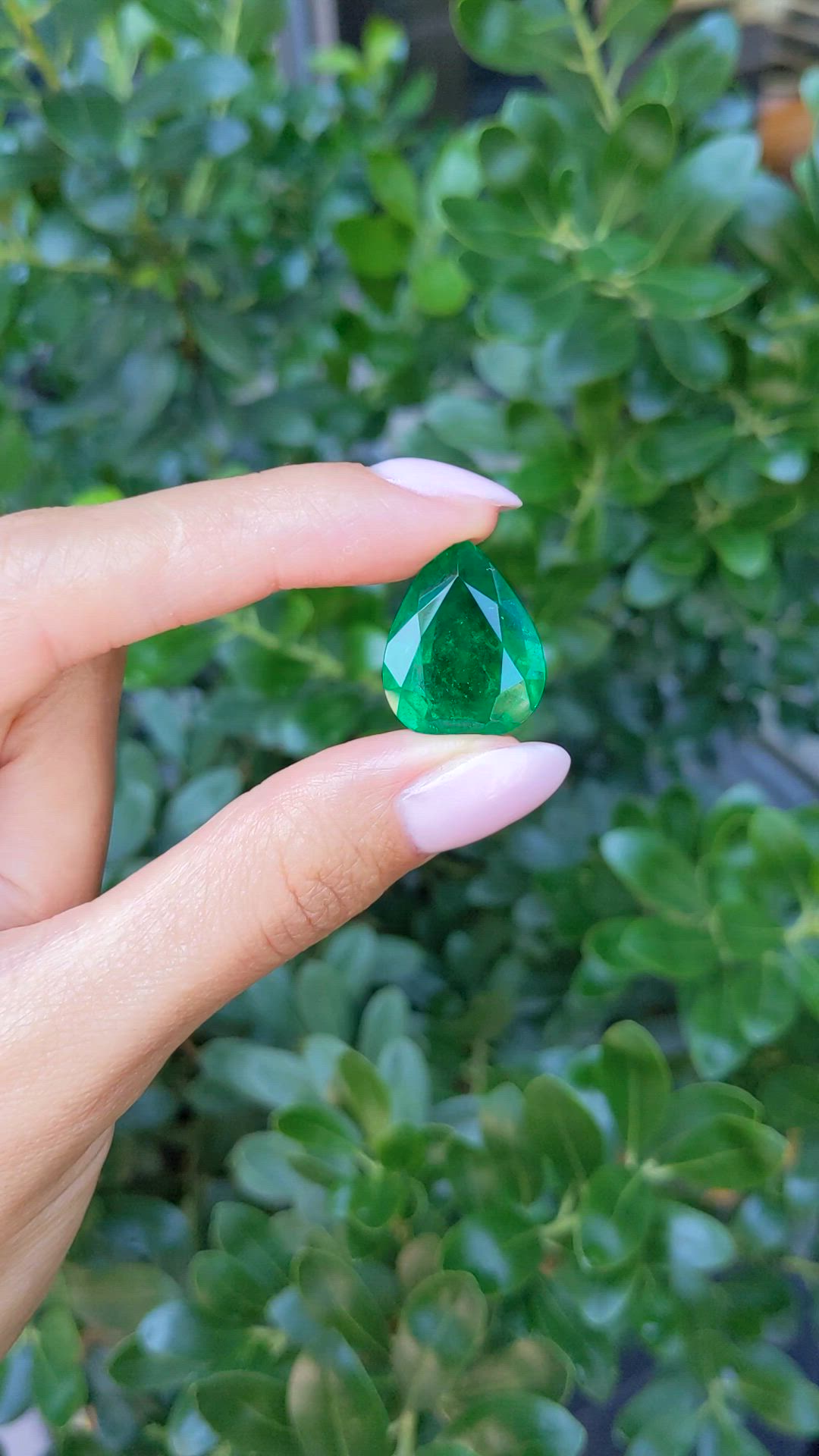 18.63 Ct. Emerald from Zambia Size Video