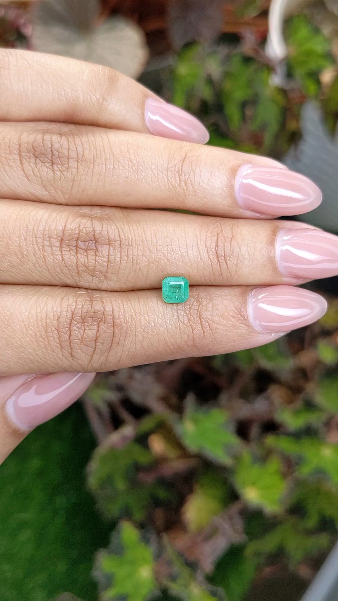 0.68 Ct. Emerald from Zambia Size Video