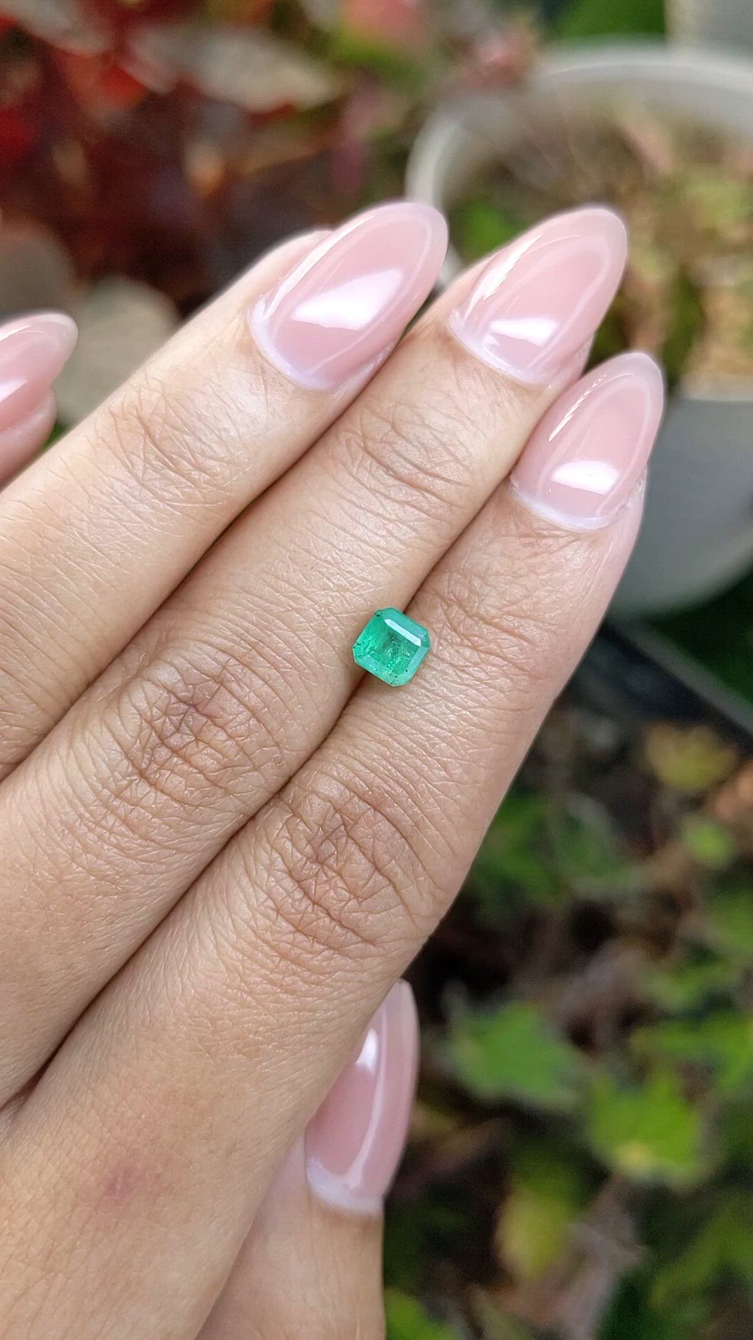 0.68 Ct. Emerald from Zambia Size Video