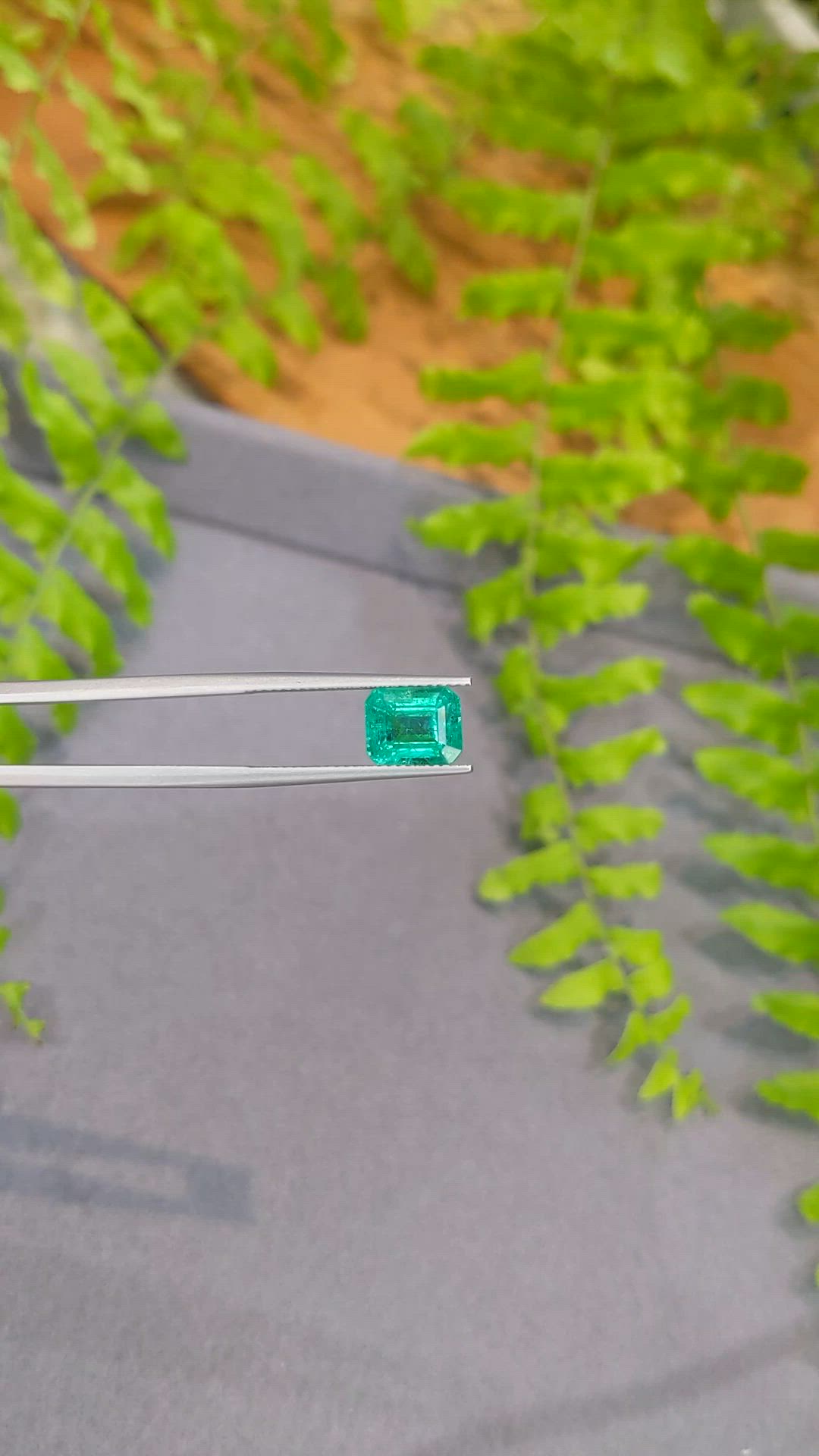 2.53 Ct. Emerald from Zambia Size Video