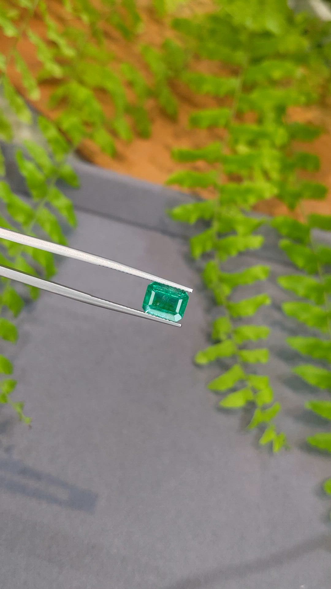 2.78 Ct. Emerald from Zambia Size Video