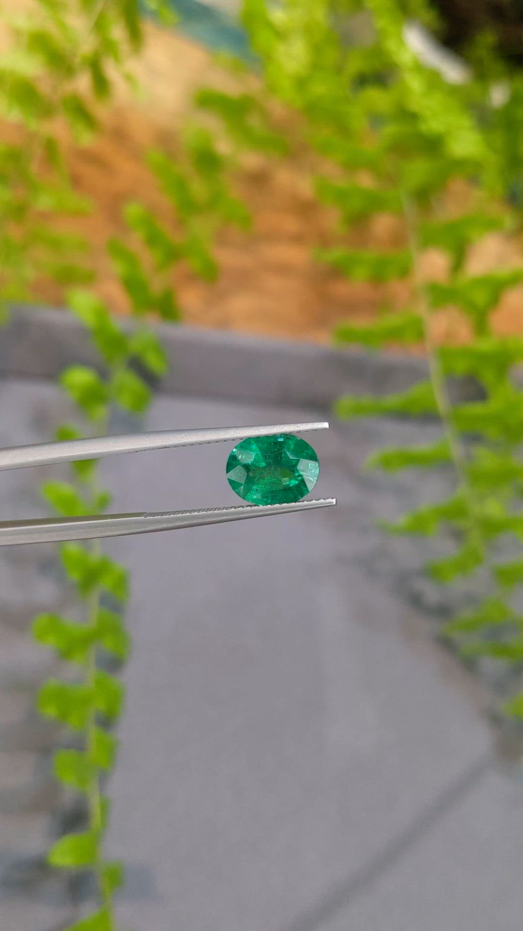 1.77 Ct. Emerald from Zambia Size Video