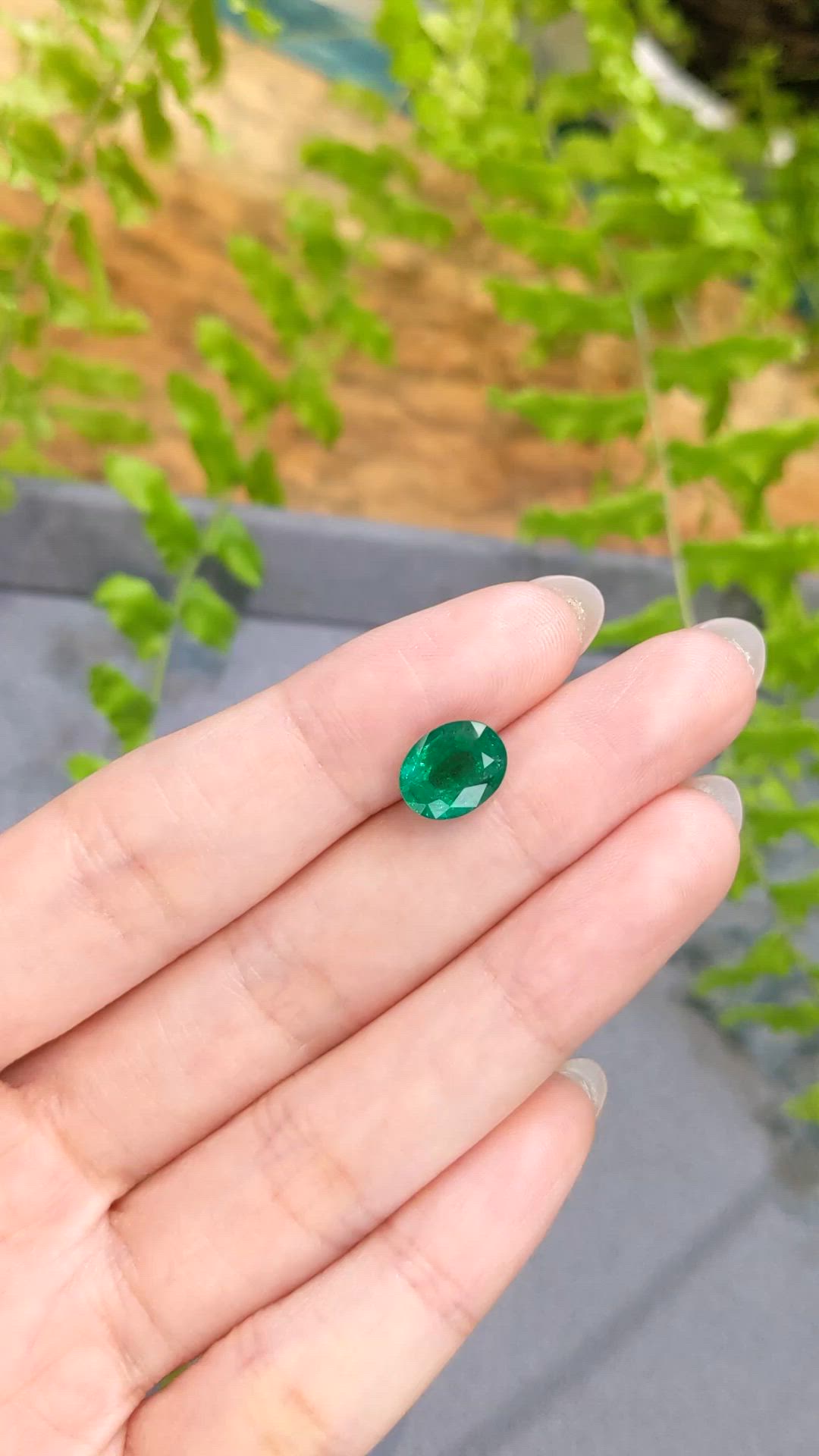 2.46 Ct. Emerald from Zambia Size Video